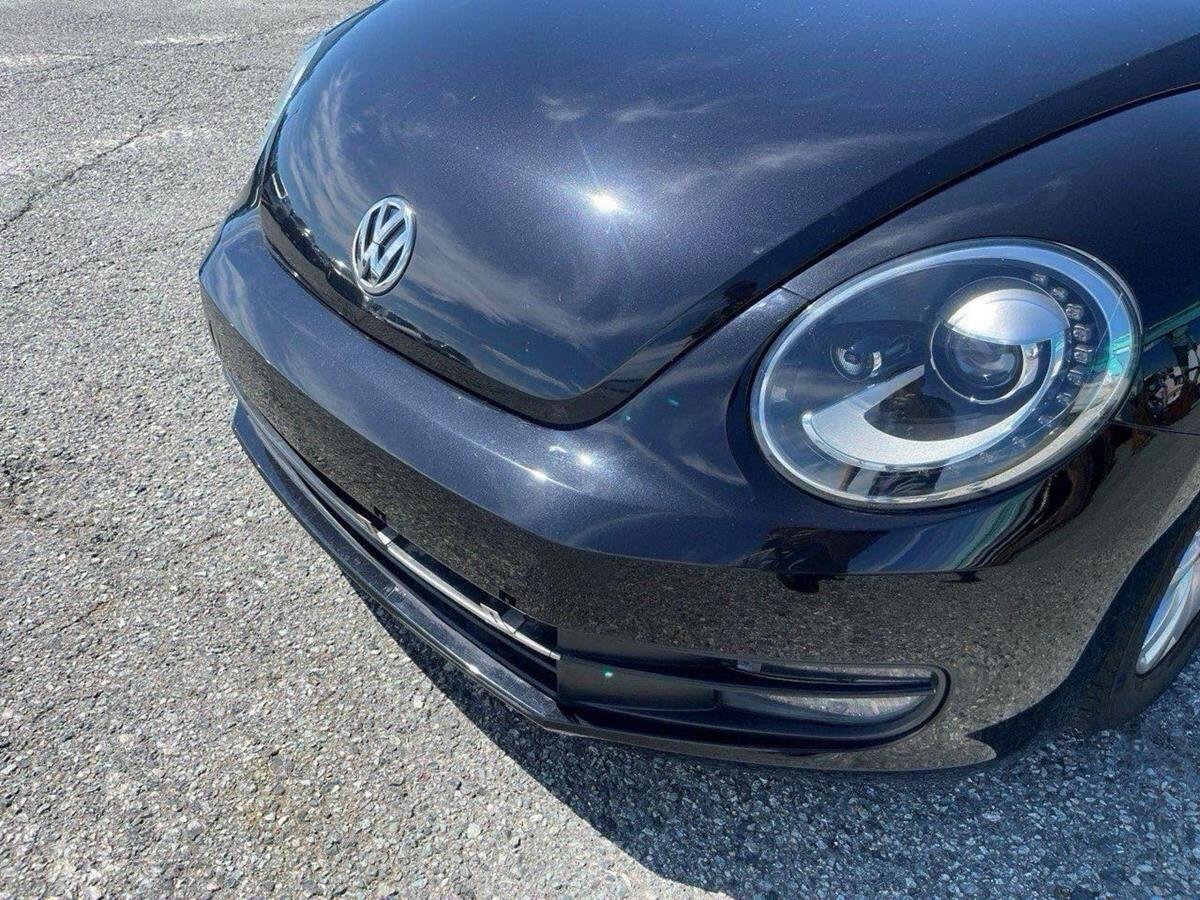 Volkswagen Beetle view 11