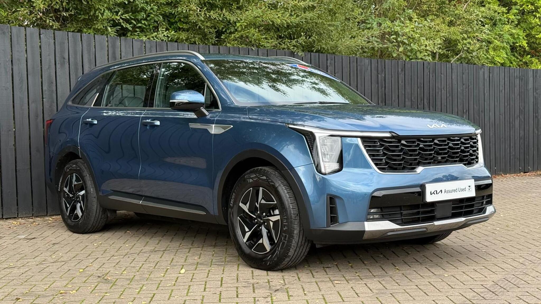 Kia Sorento view 12