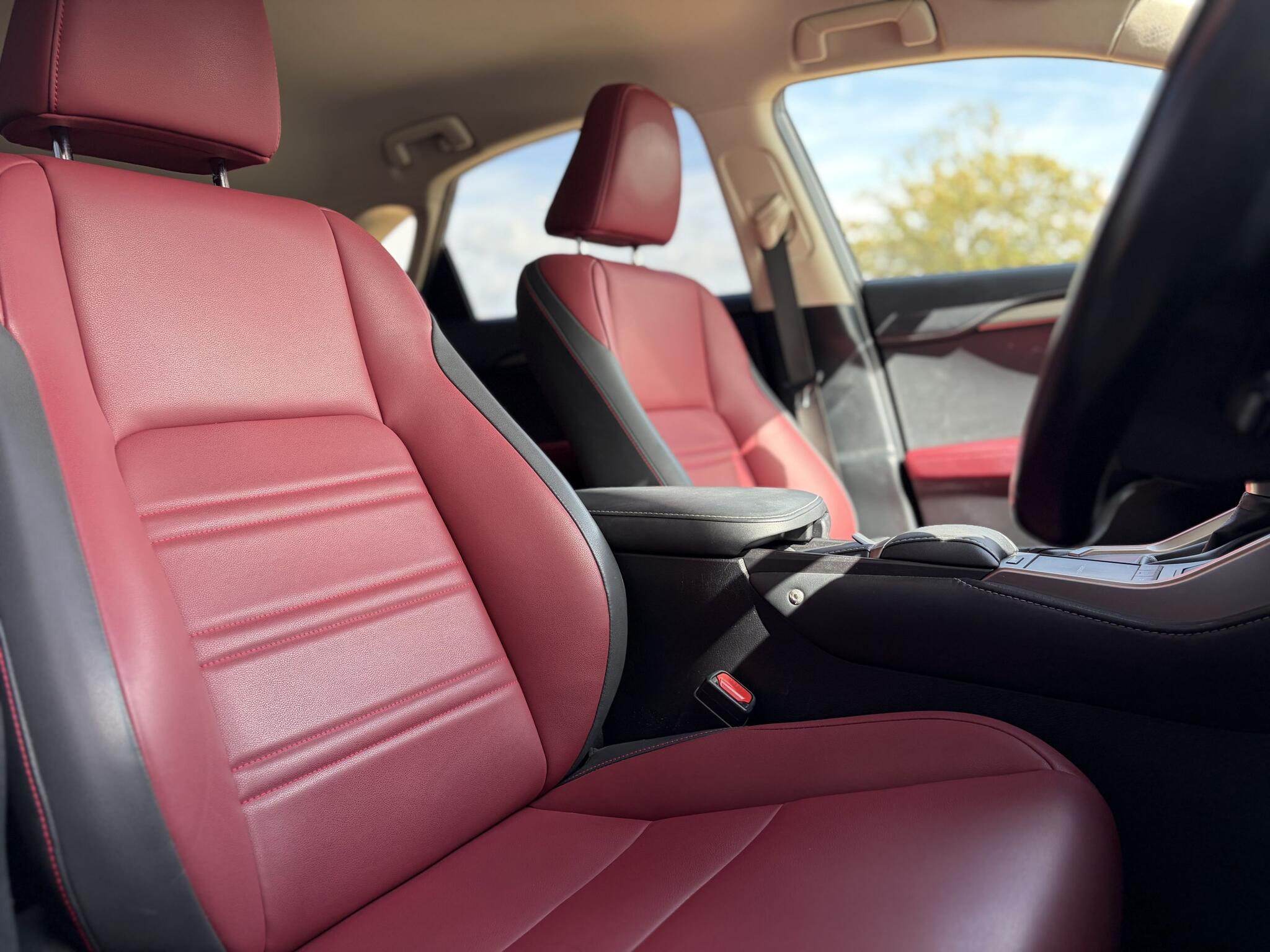 Lexus NX view 17