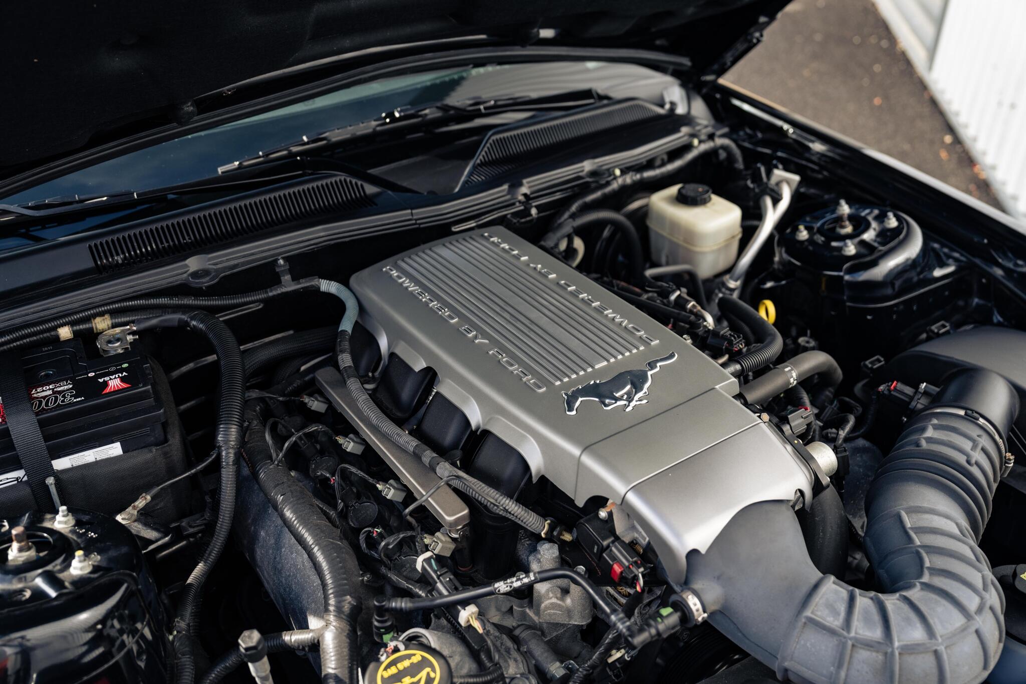 Ford Mustang view 11