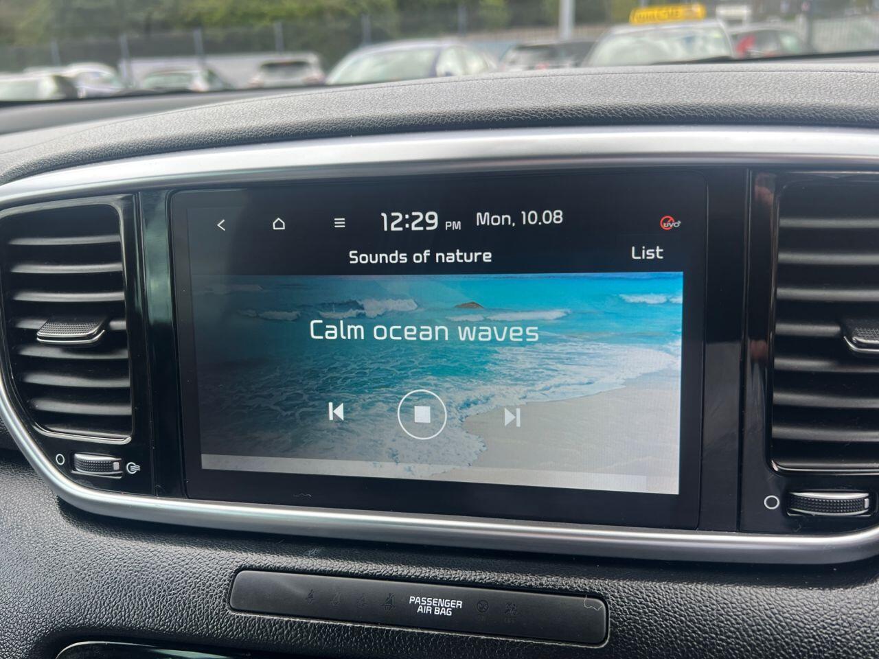 Kia Sportage view 17
