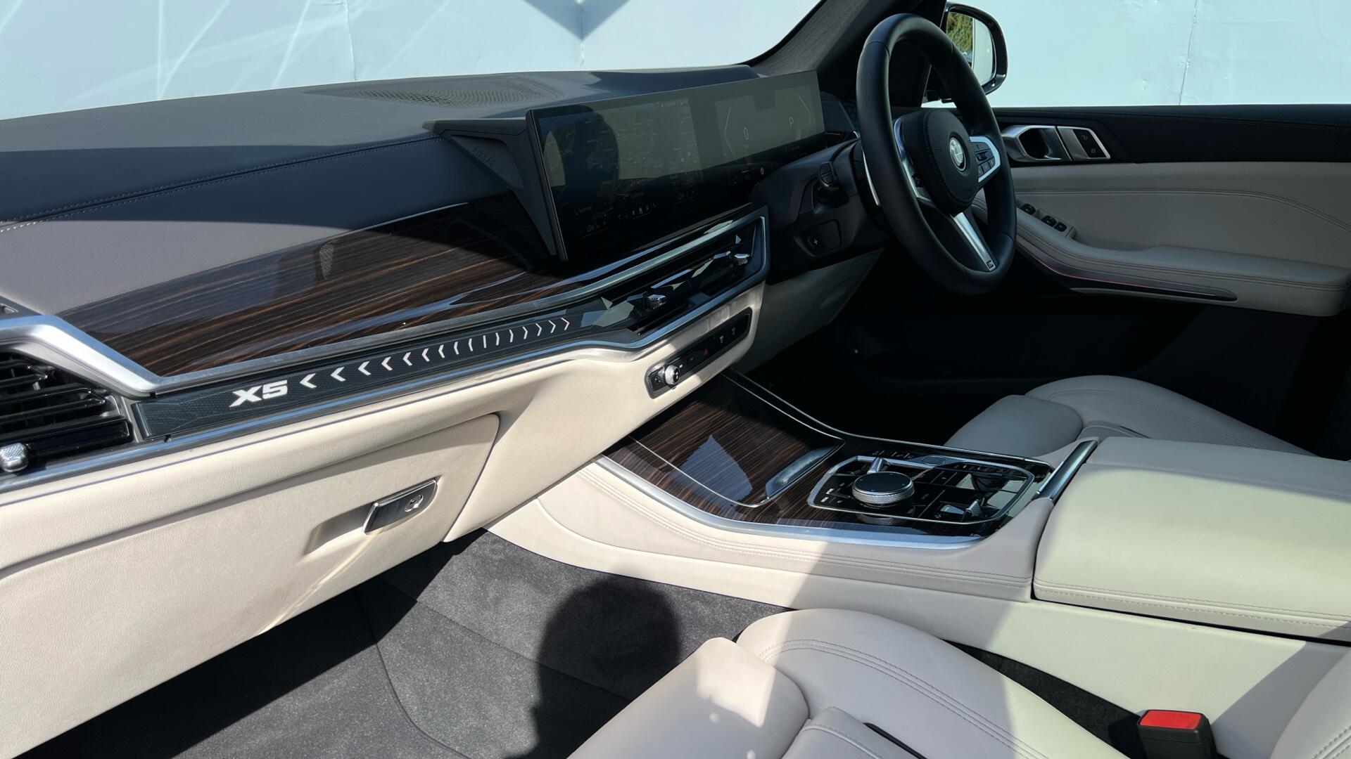 BMW X5 view 7