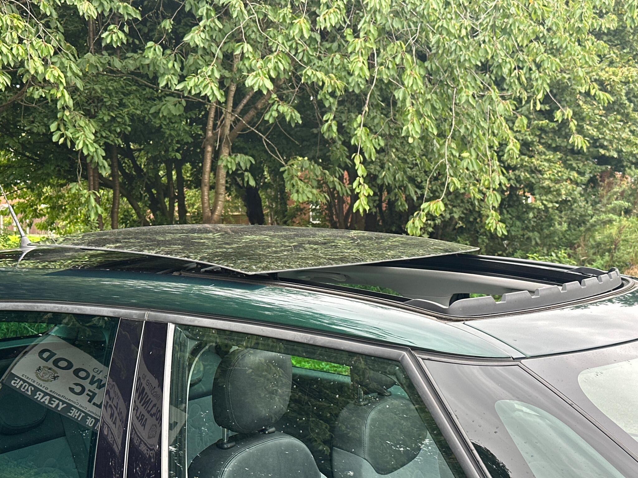 Fiat 500L view 2