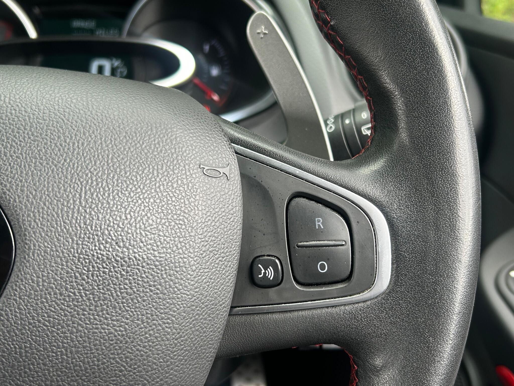 Renault Clio view 31