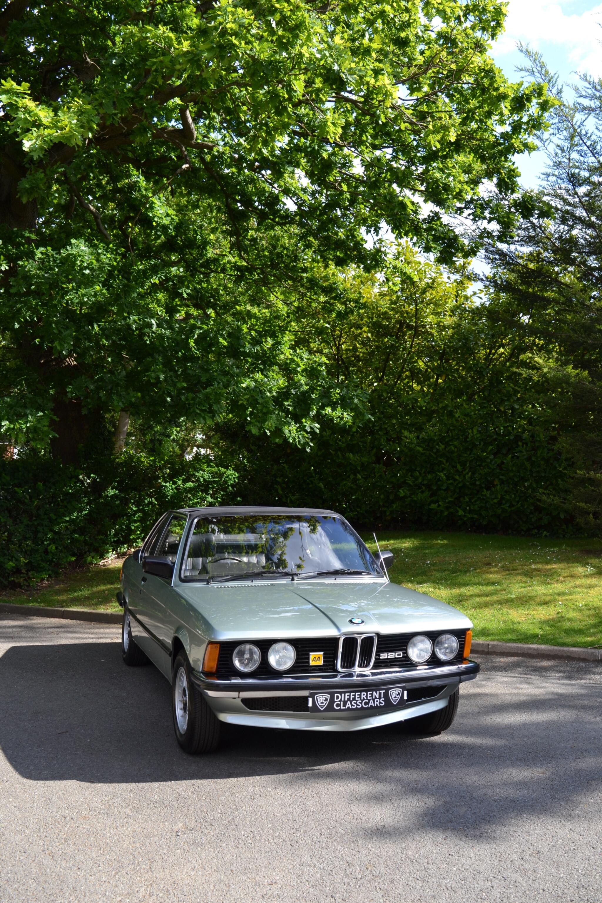 BMW 3 Series view 51