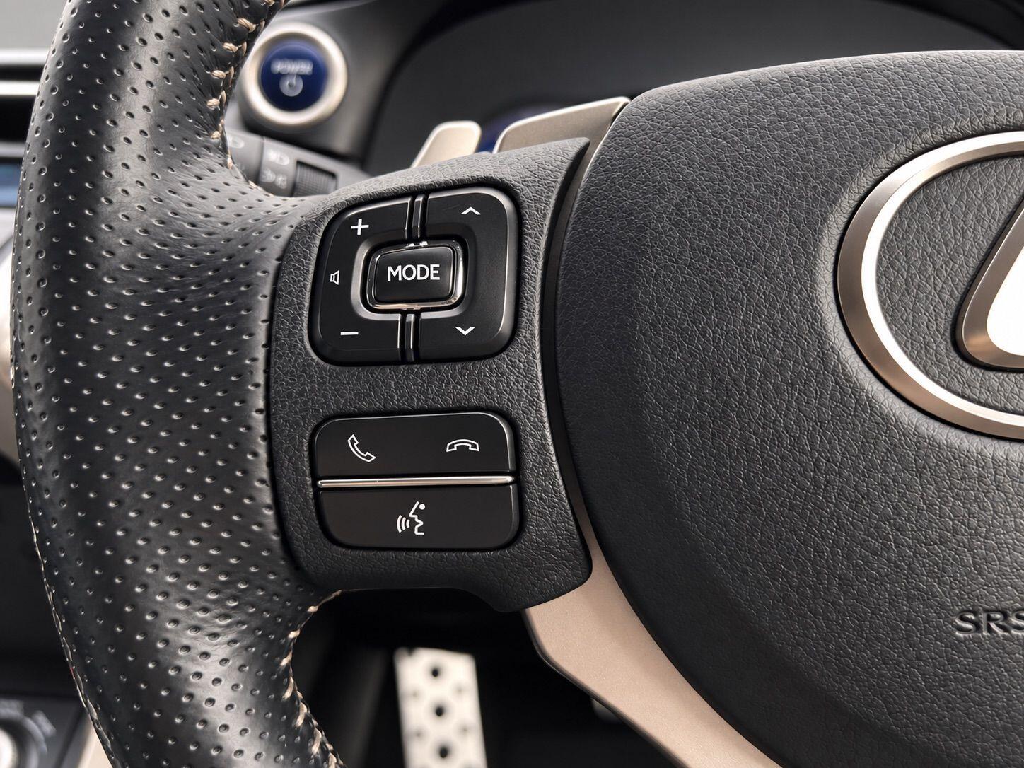 Lexus NX view 26