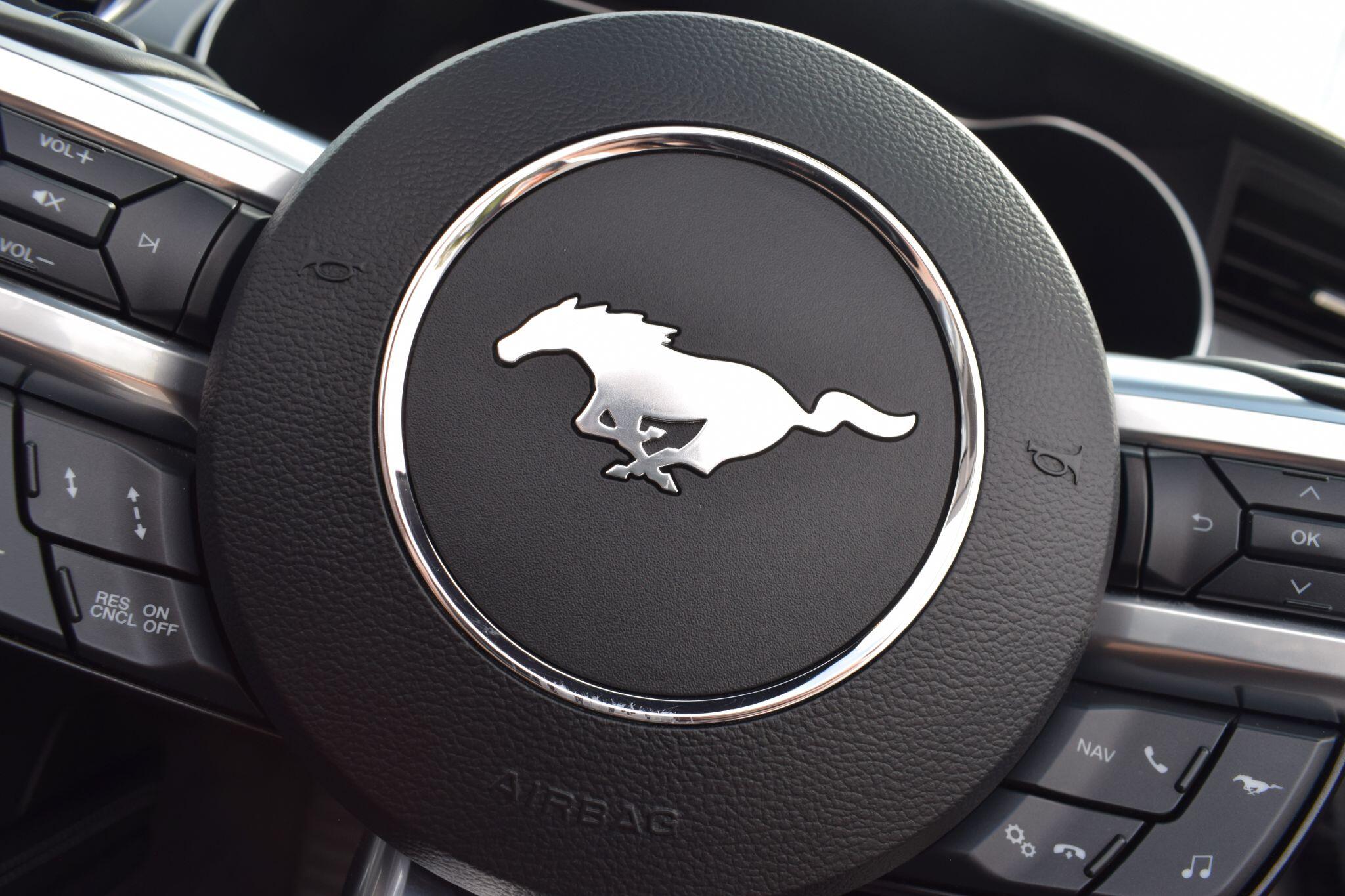 Ford Mustang view 20