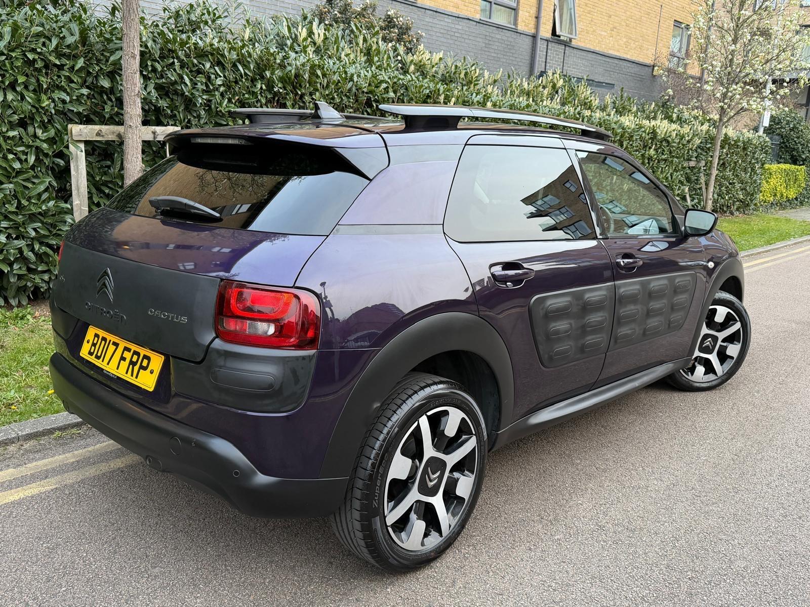 Citroen C4 Cactus view 9