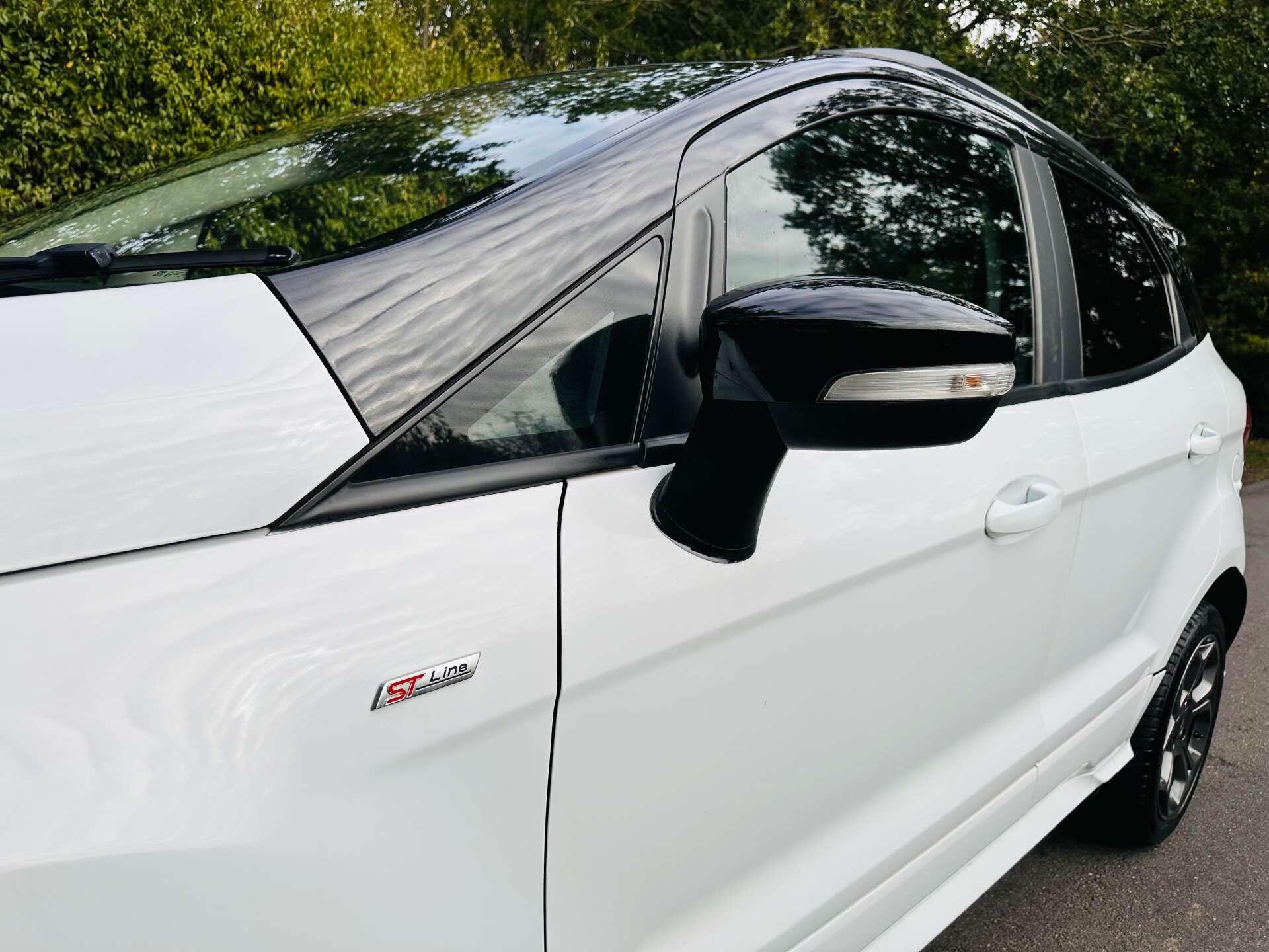 Ford Ecosport view 29