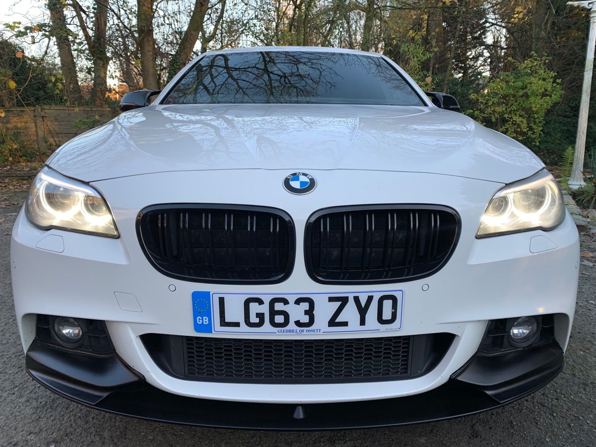 BMW 5 Series view 7