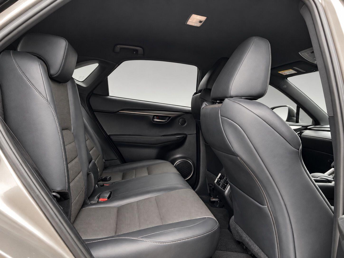 Lexus NX view 29
