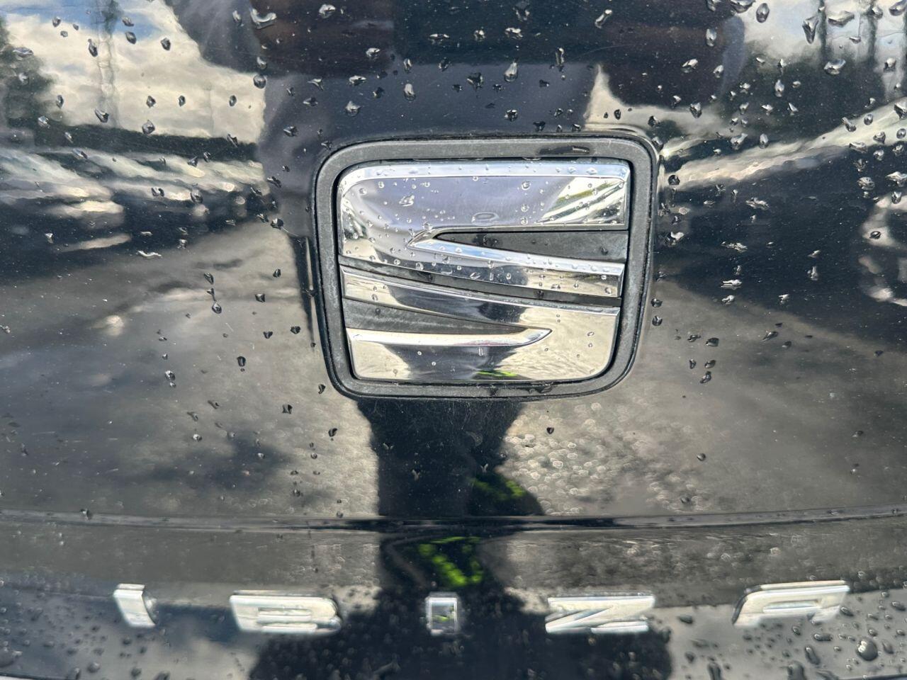 Seat Ibiza view 48