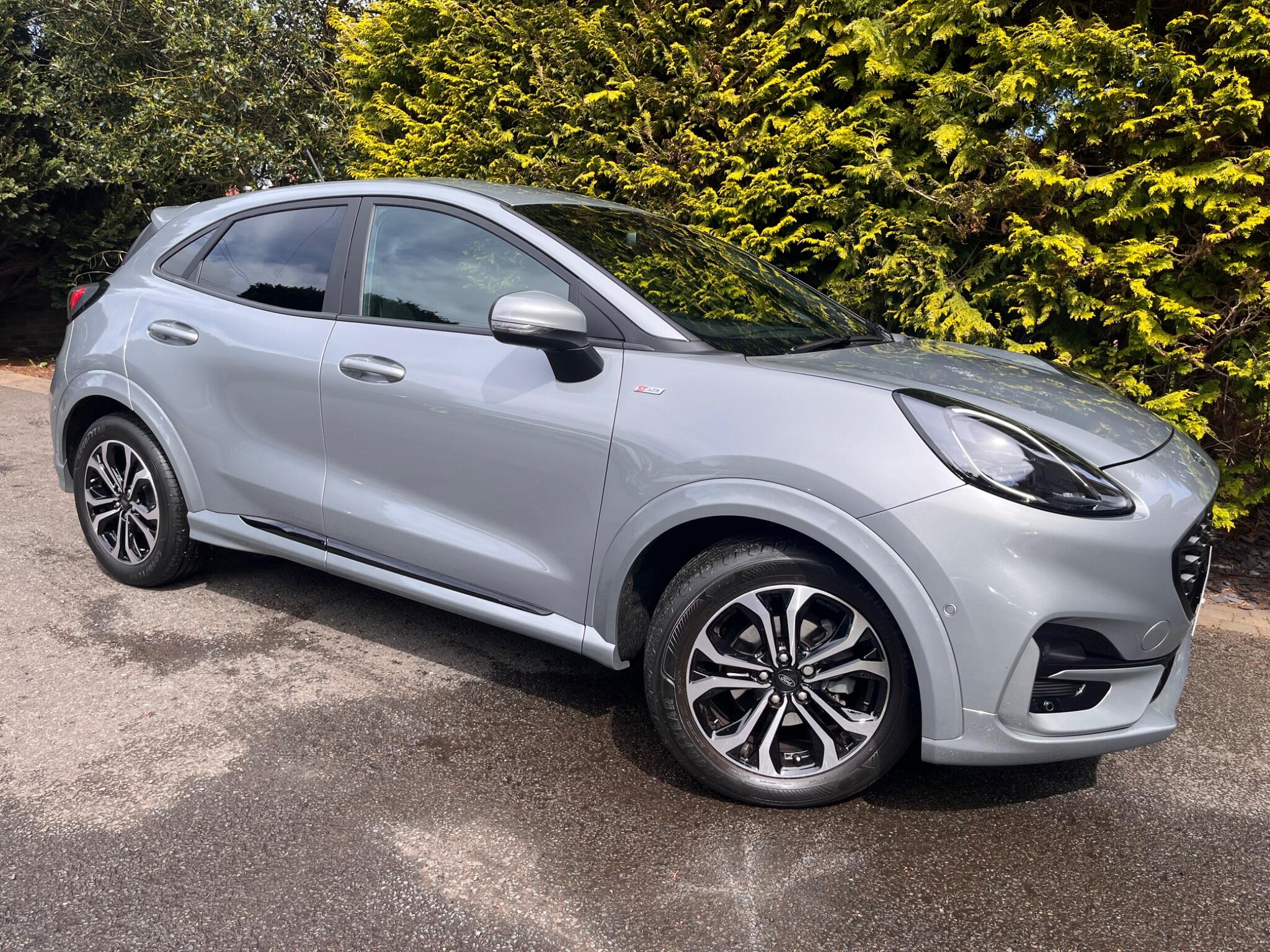 Ford Puma view 20