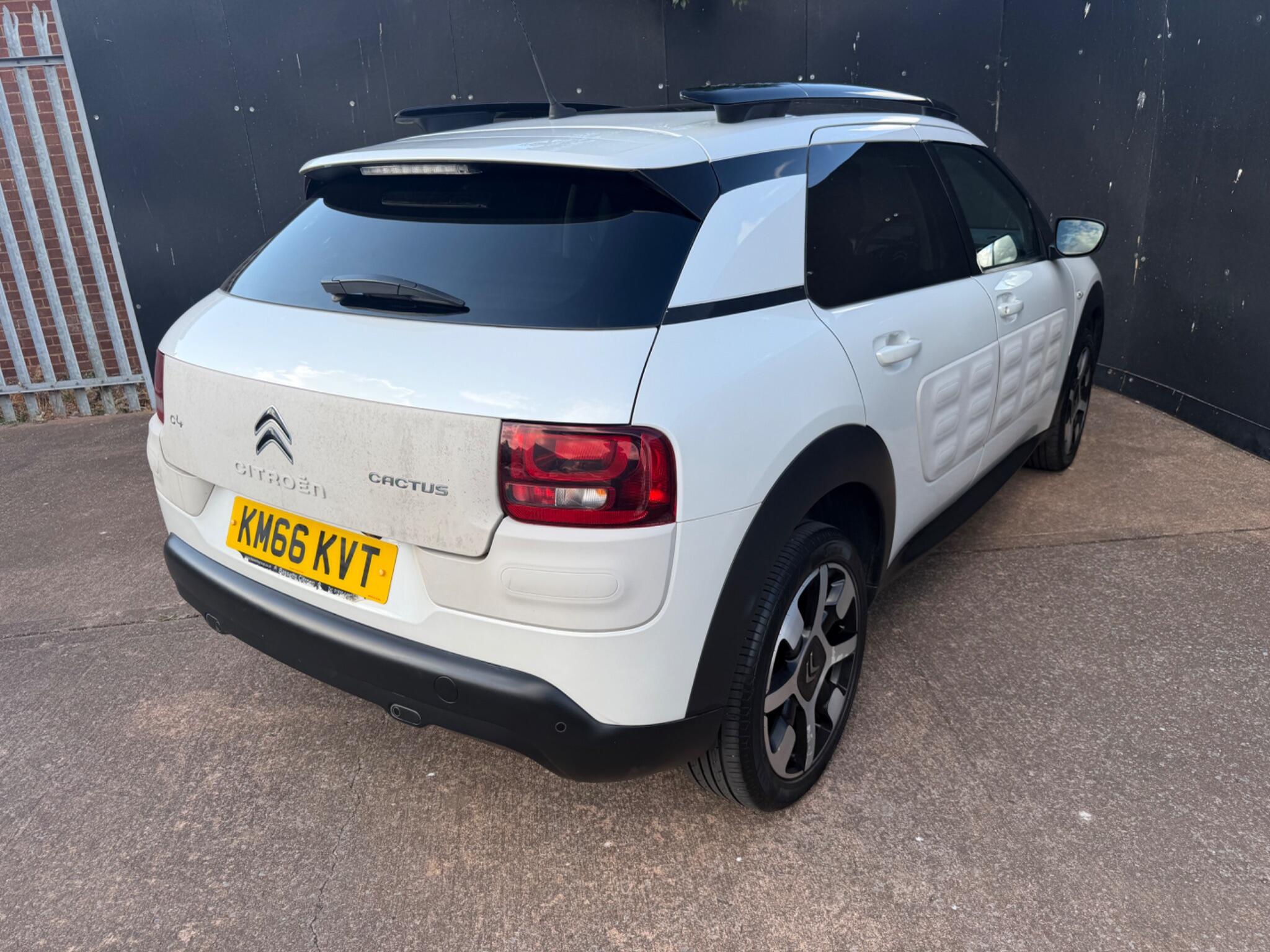 Citroen C4 Cactus view 14
