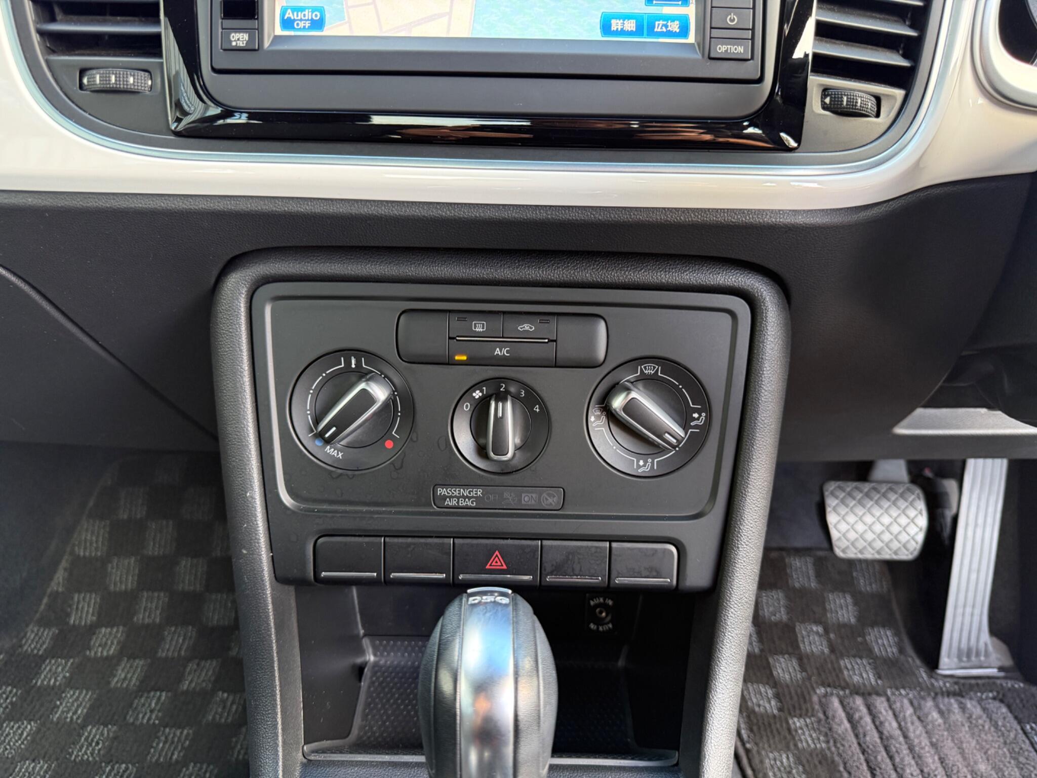 Volkswagen Beetle view 29