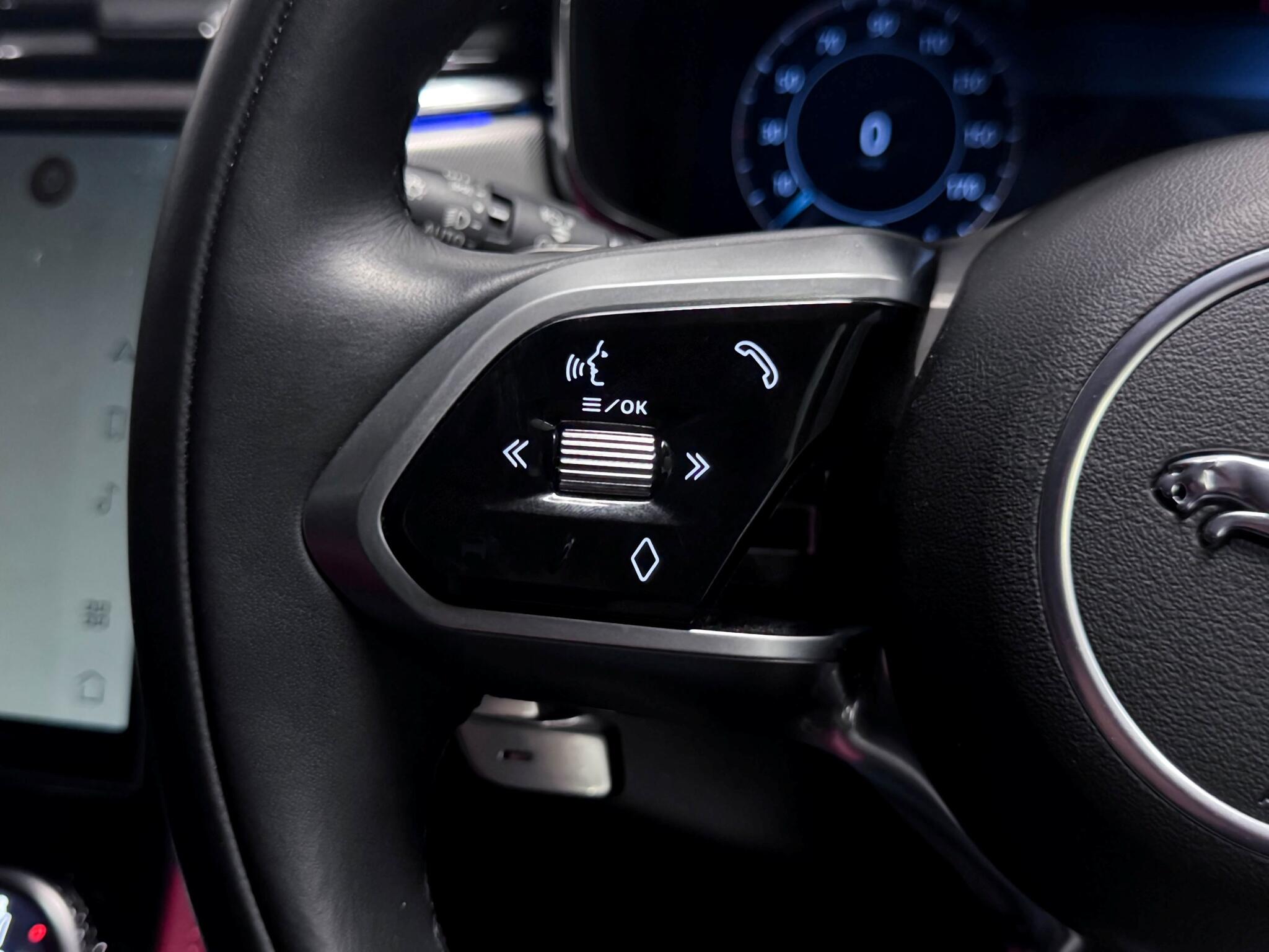 Jaguar F-Pace view 19