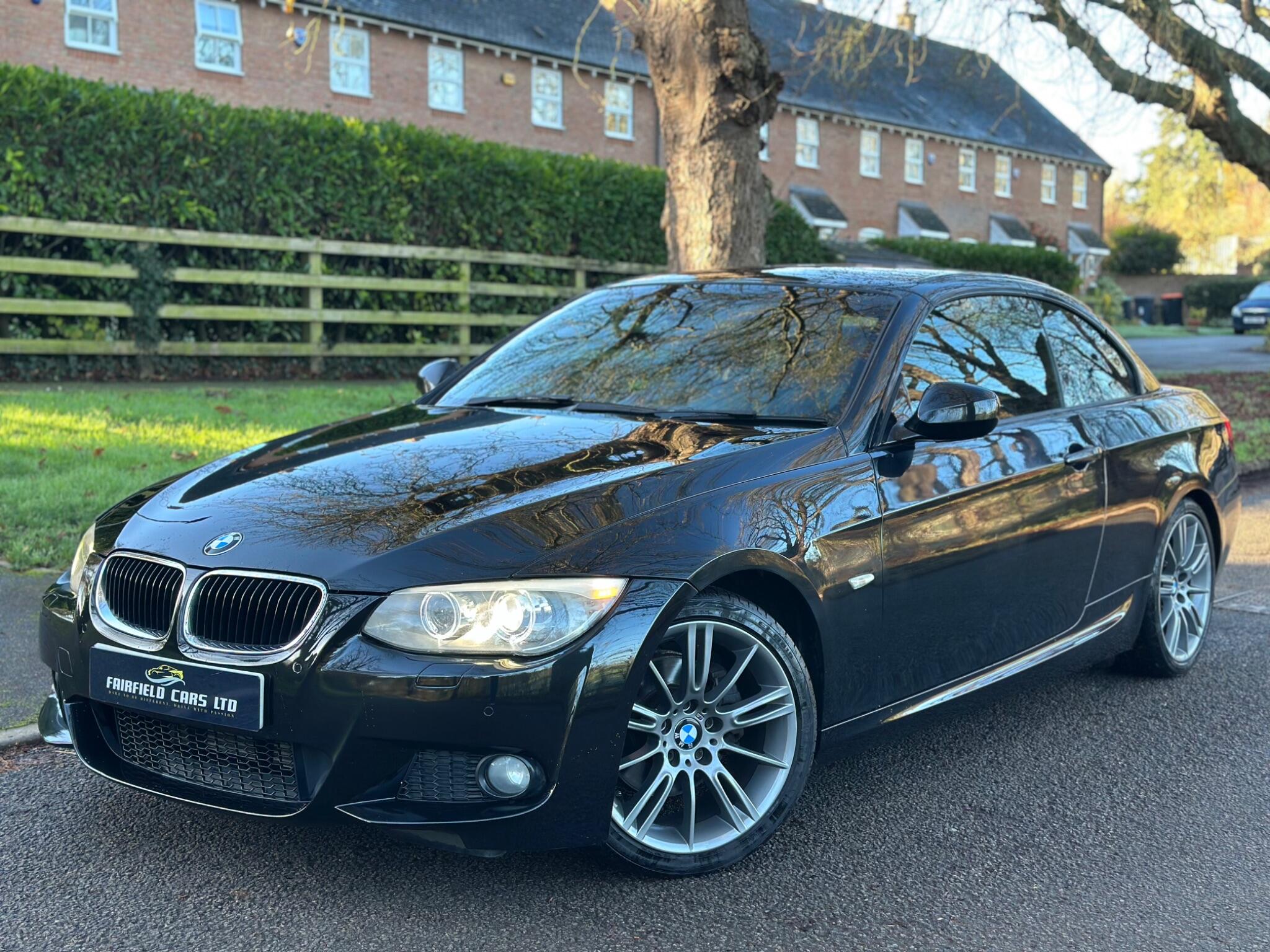 2010 BMW 3 Series image 18