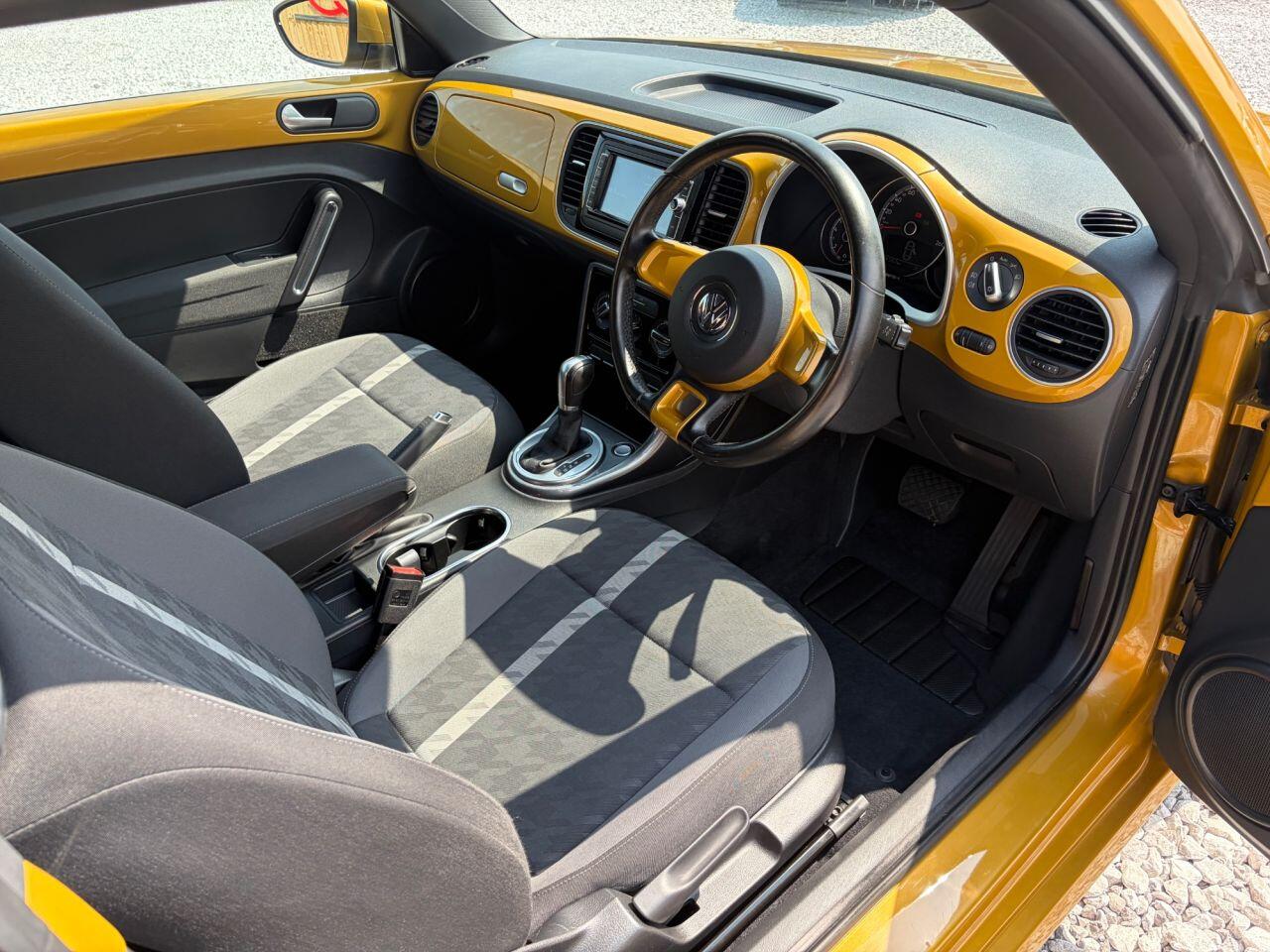 Volkswagen Beetle view 13