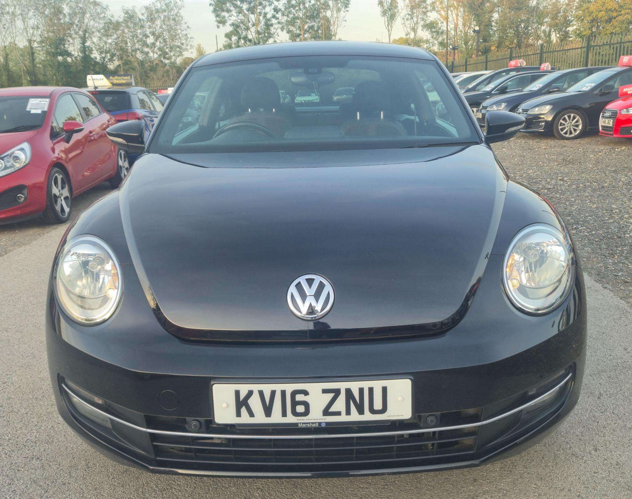 Volkswagen Beetle view 10