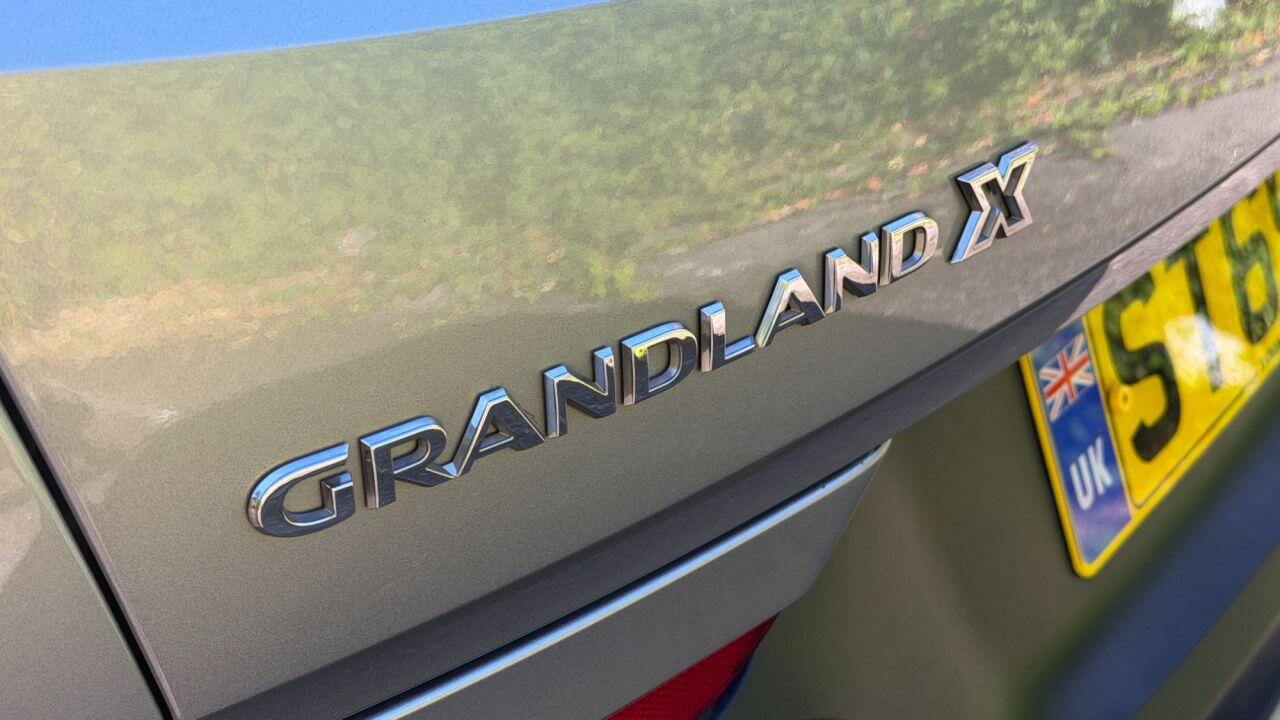 Vauxhall Grandland X view 46