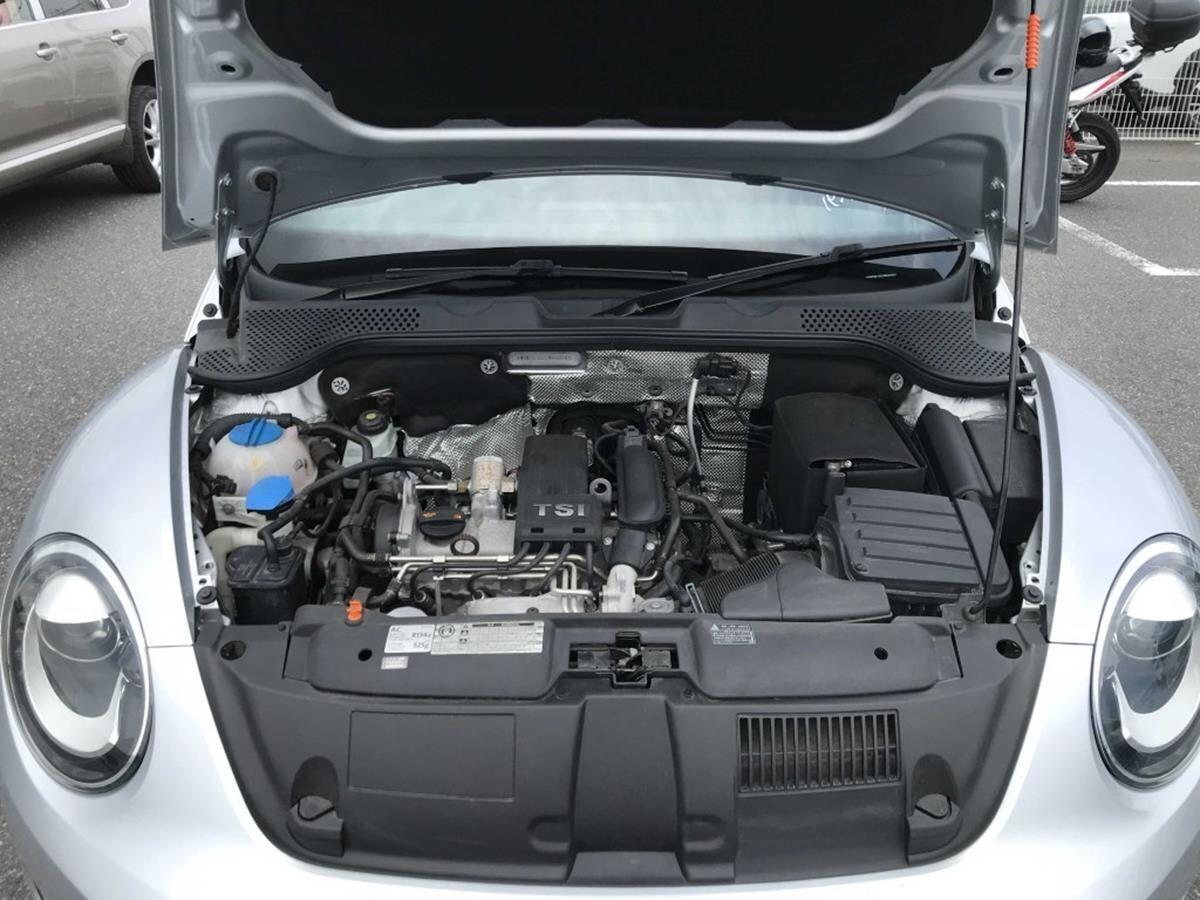Volkswagen Beetle view 5