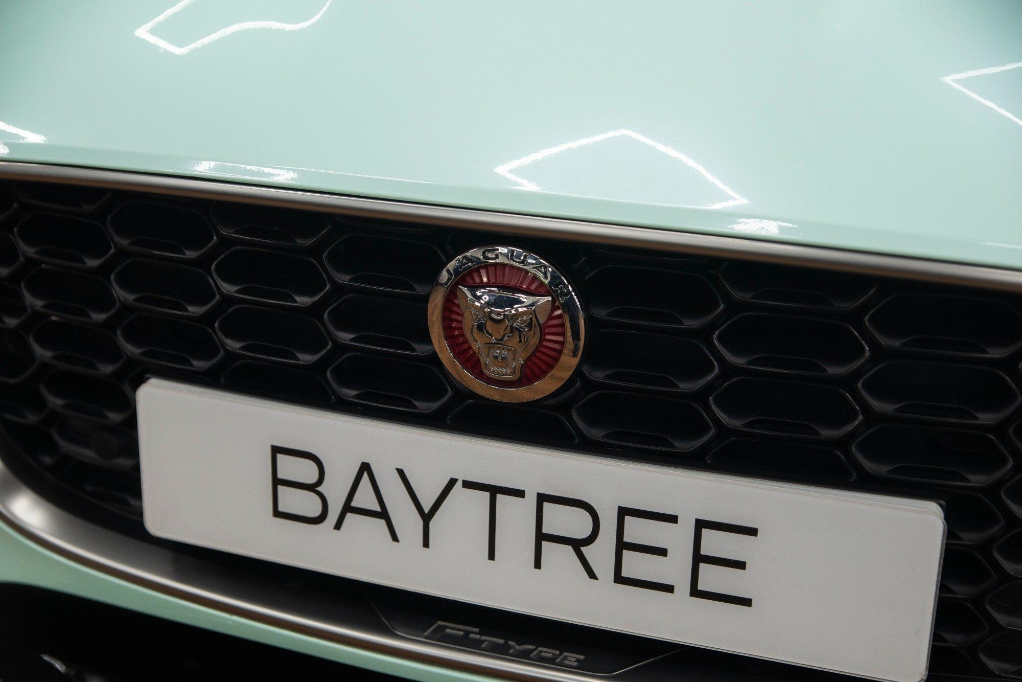Jaguar F-Type view 10