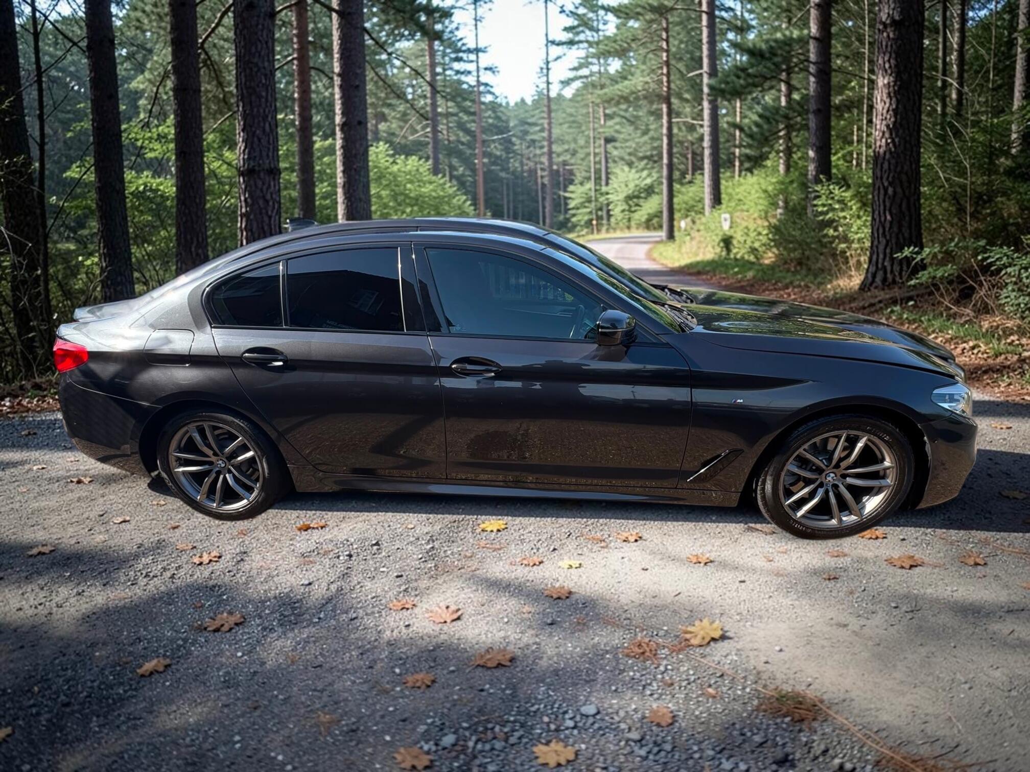 BMW 5 Series view 11