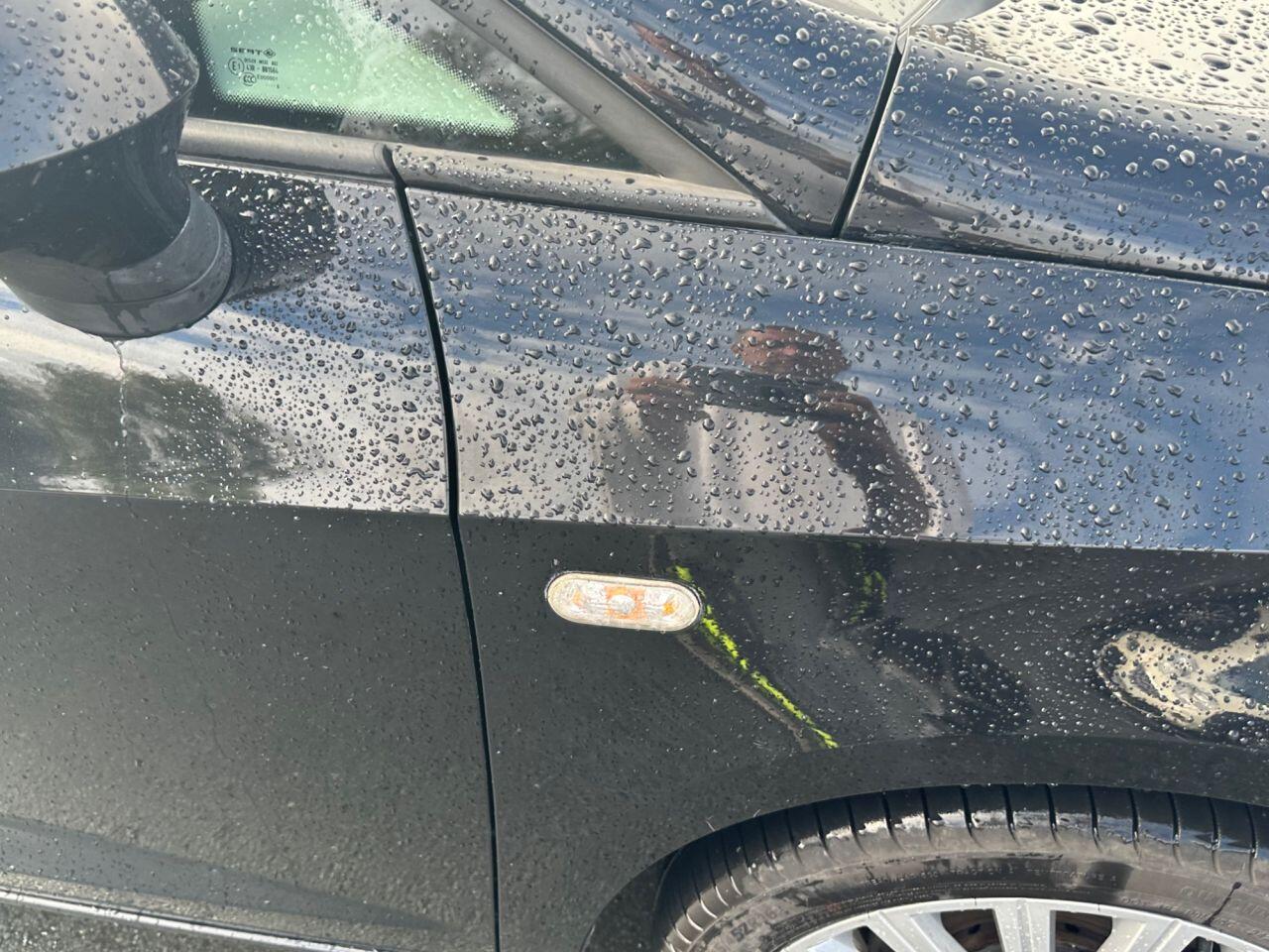 Seat Ibiza view 35