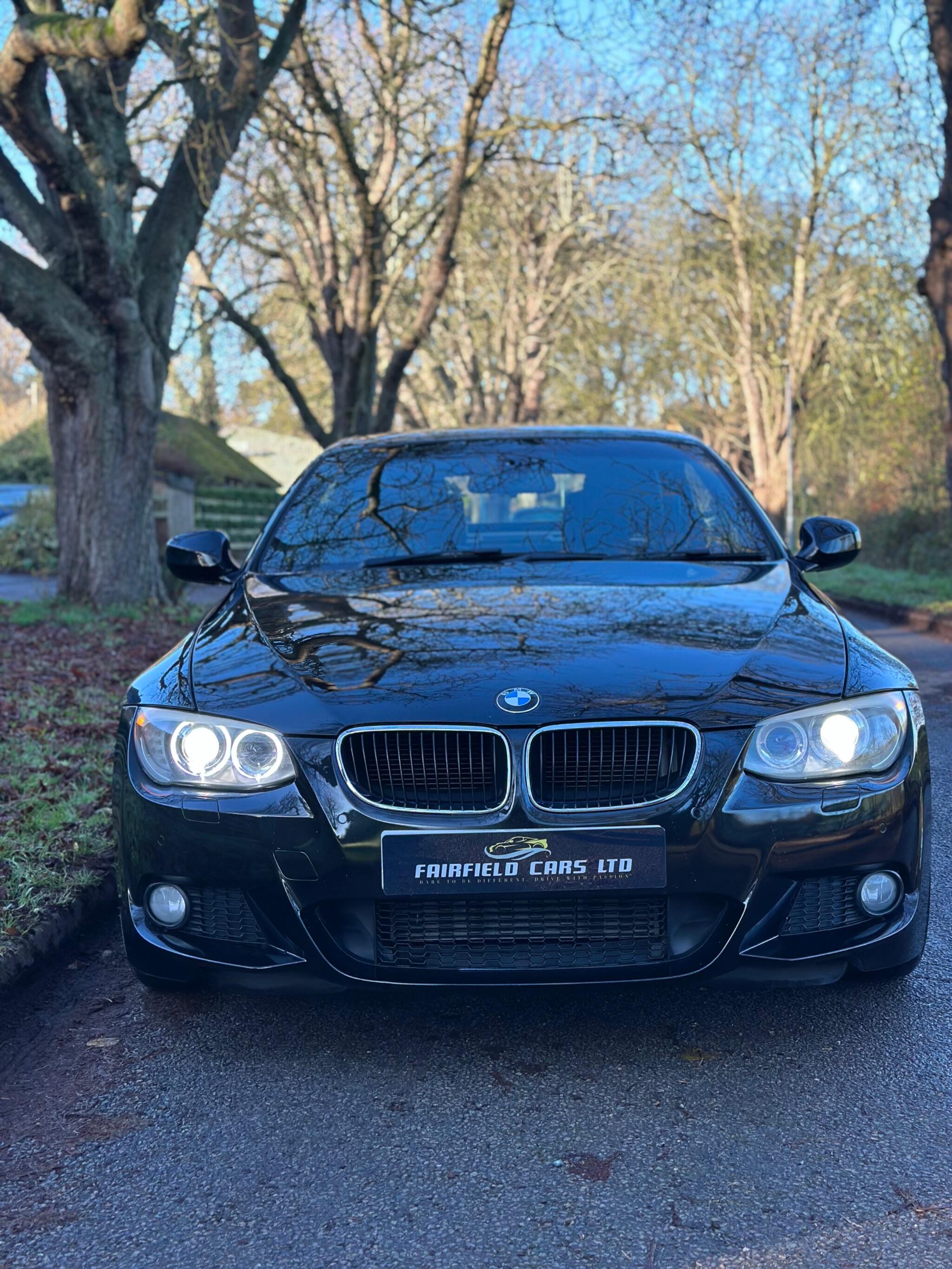 2010 BMW 3 Series image 22