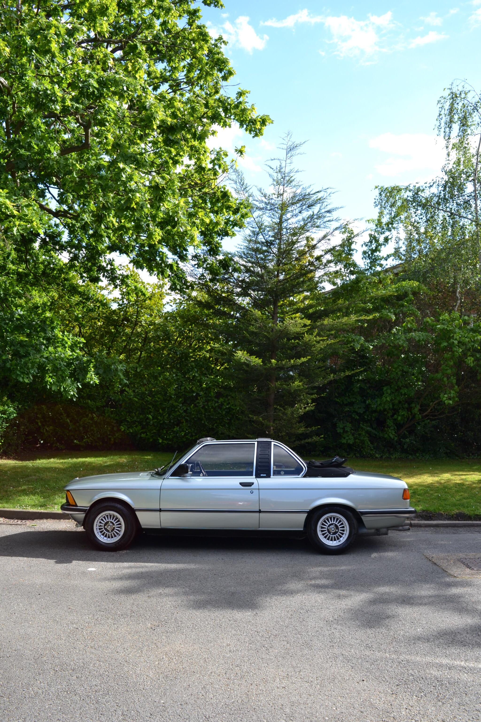 BMW 3 Series view 59