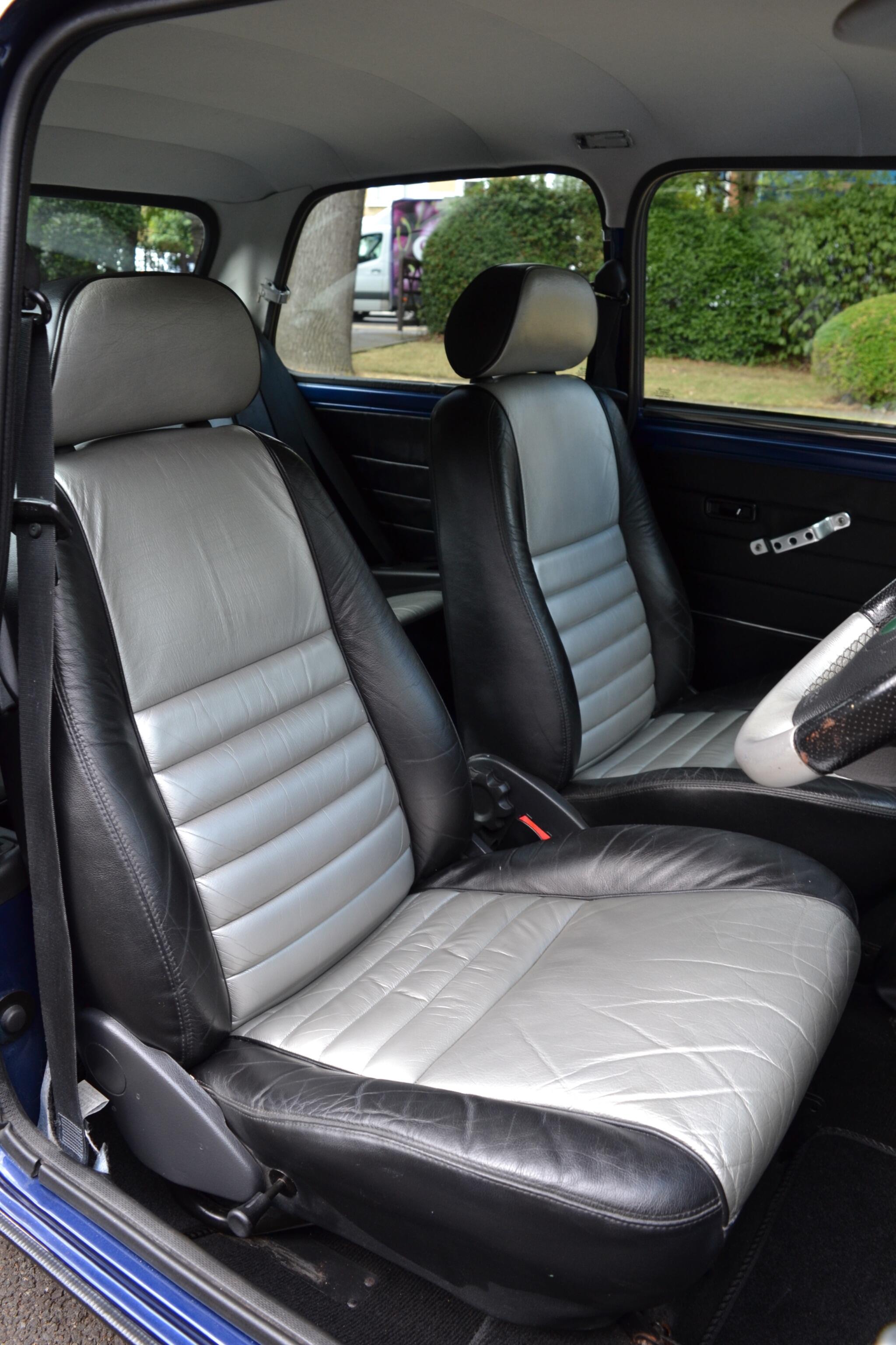 Rover Mini view 30