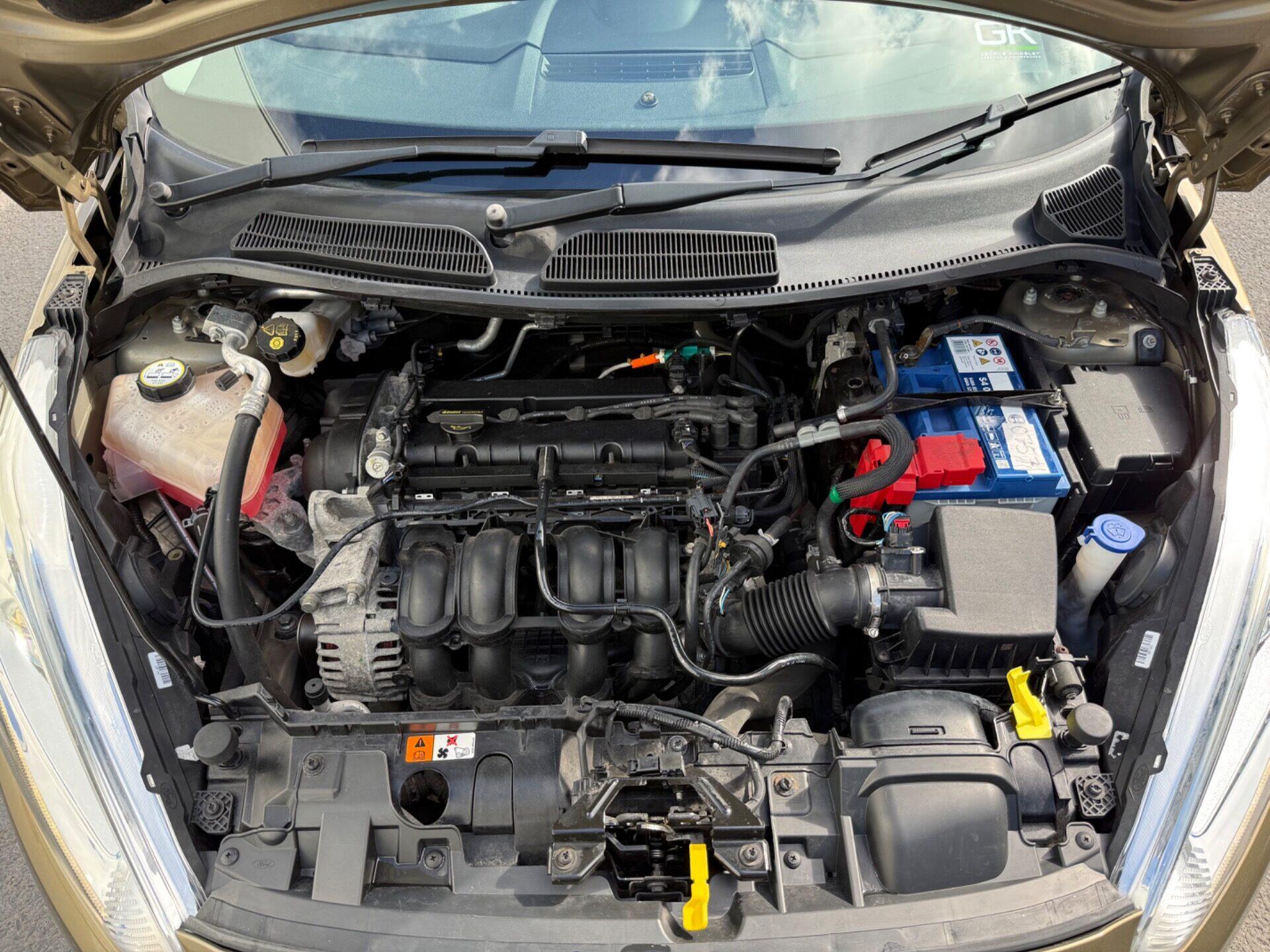 Ford Fiesta view 42