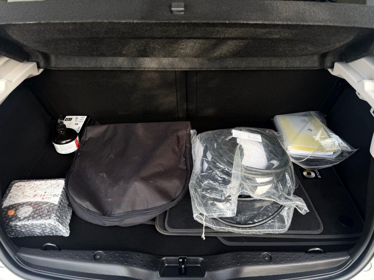 Smart Forfour view 25
