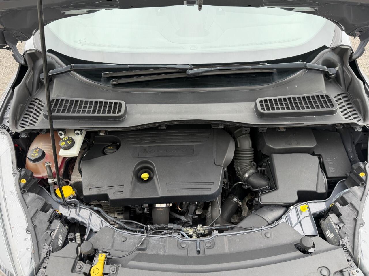 Ford Kuga view 34