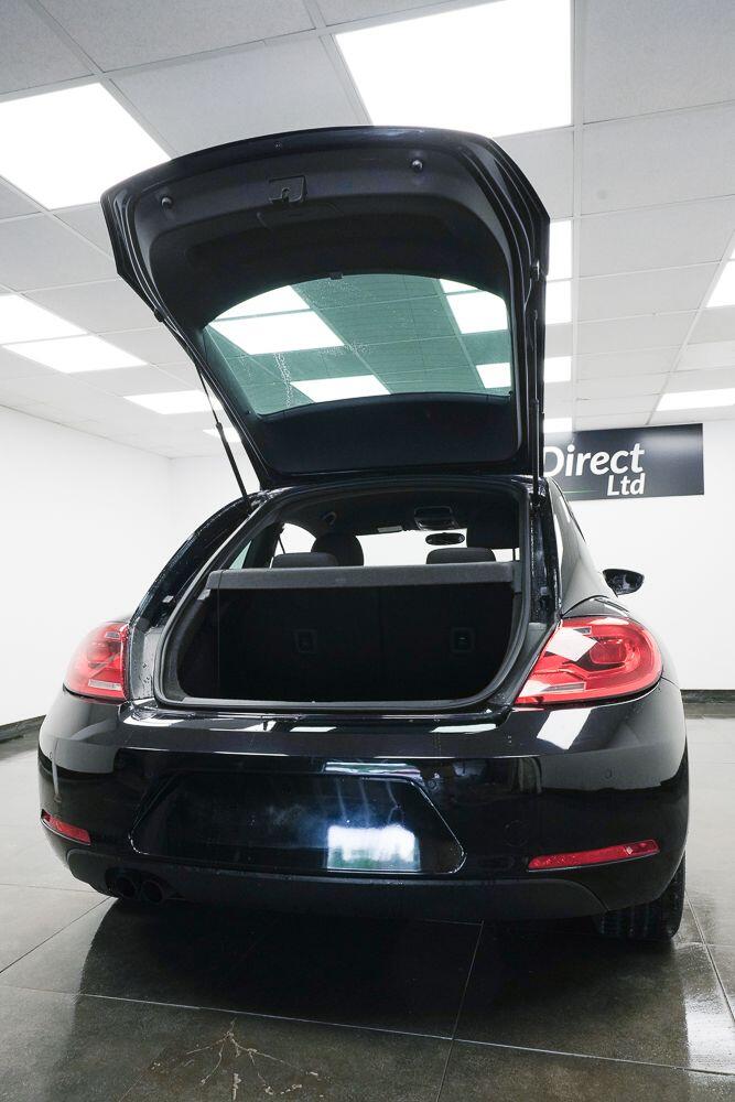 Volkswagen Beetle view 8