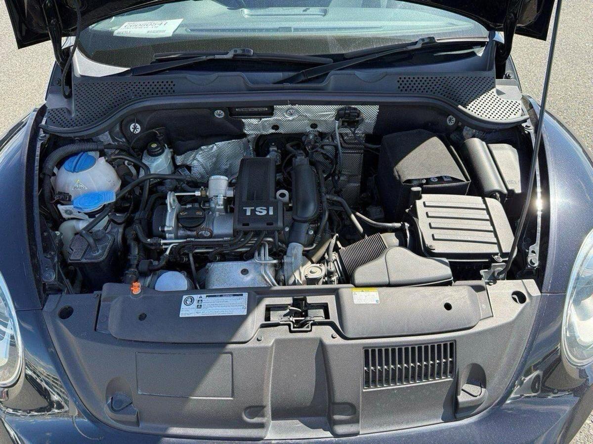 Volkswagen Beetle view 19