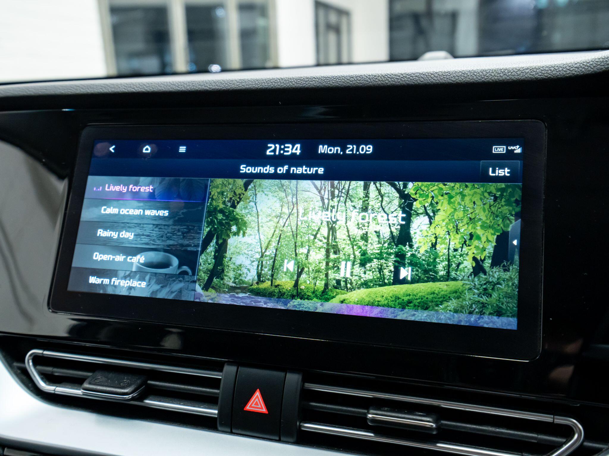 Kia Niro view 33
