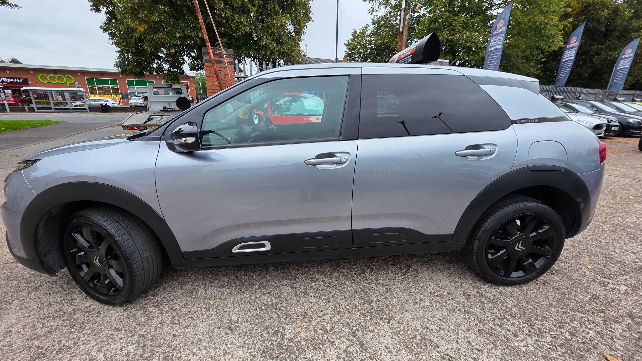 Citroen C4 Cactus view 17