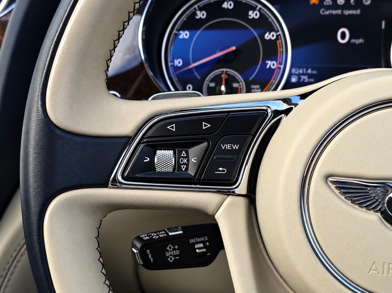 Bentley Bentayga view 39