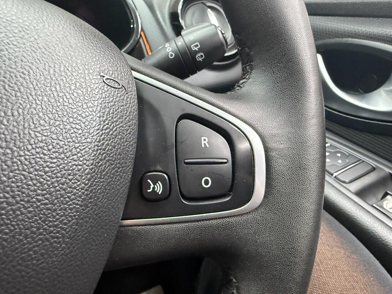 Renault Clio view 14