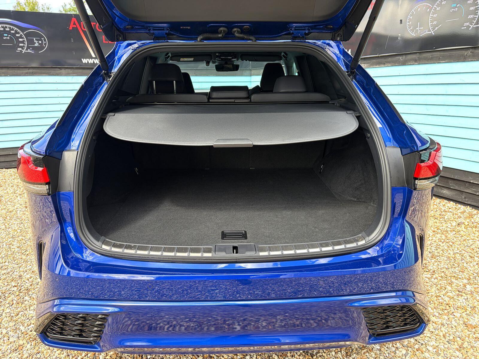 Lexus RX view 18