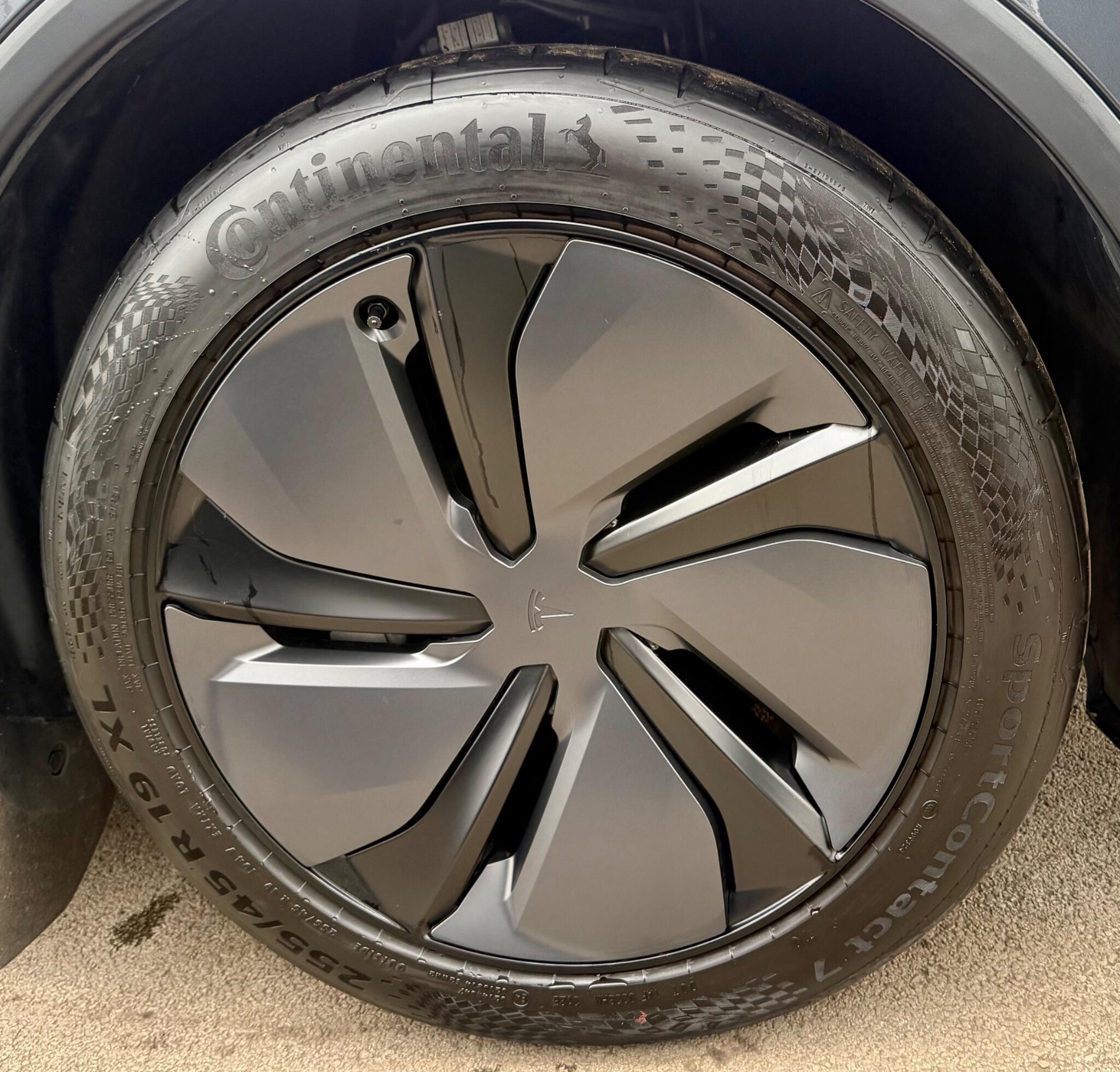Tesla Model Y view 18