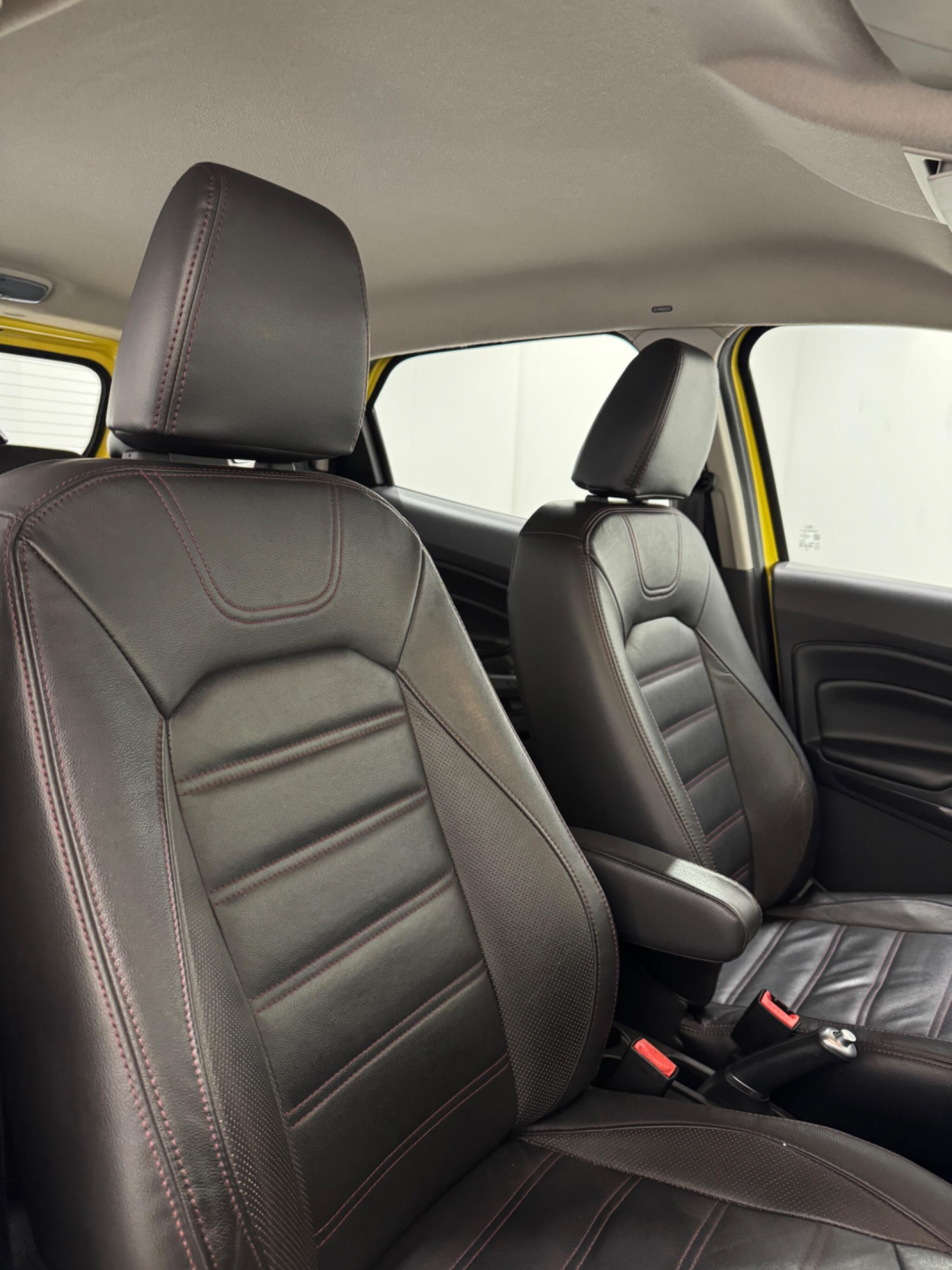 Ford Ecosport view 9