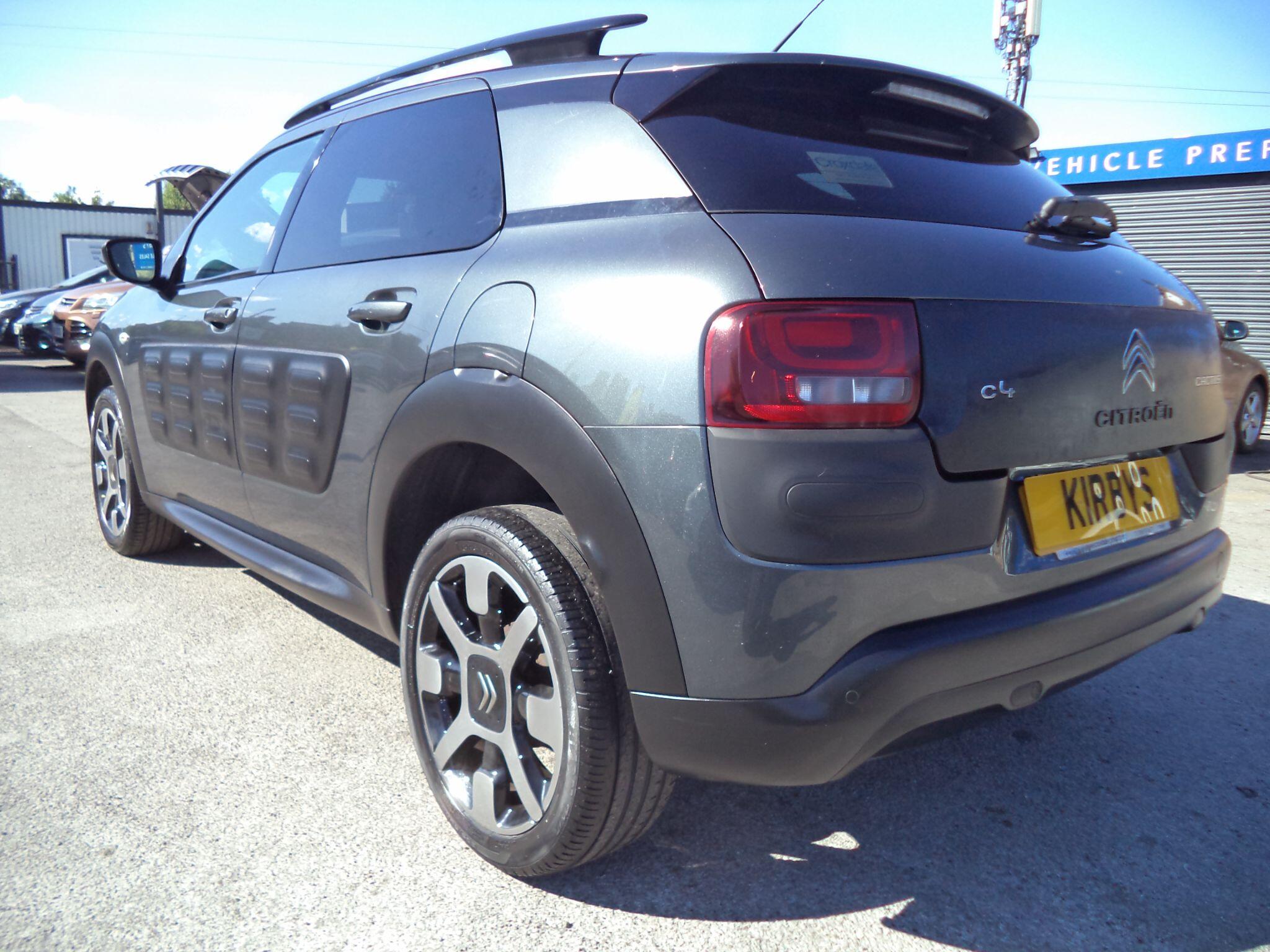 Citroen C4 Cactus view 15