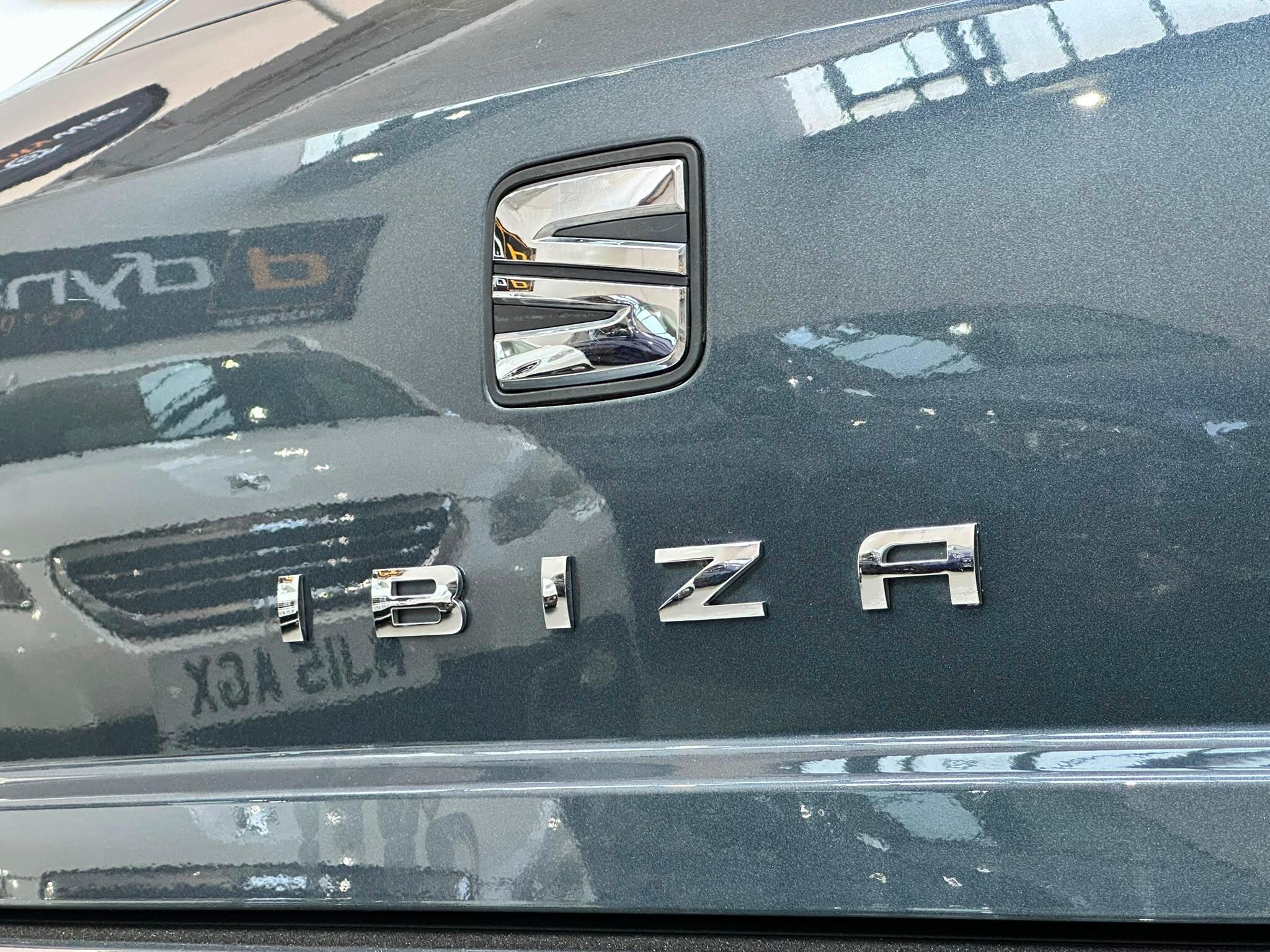 Seat Ibiza view 21