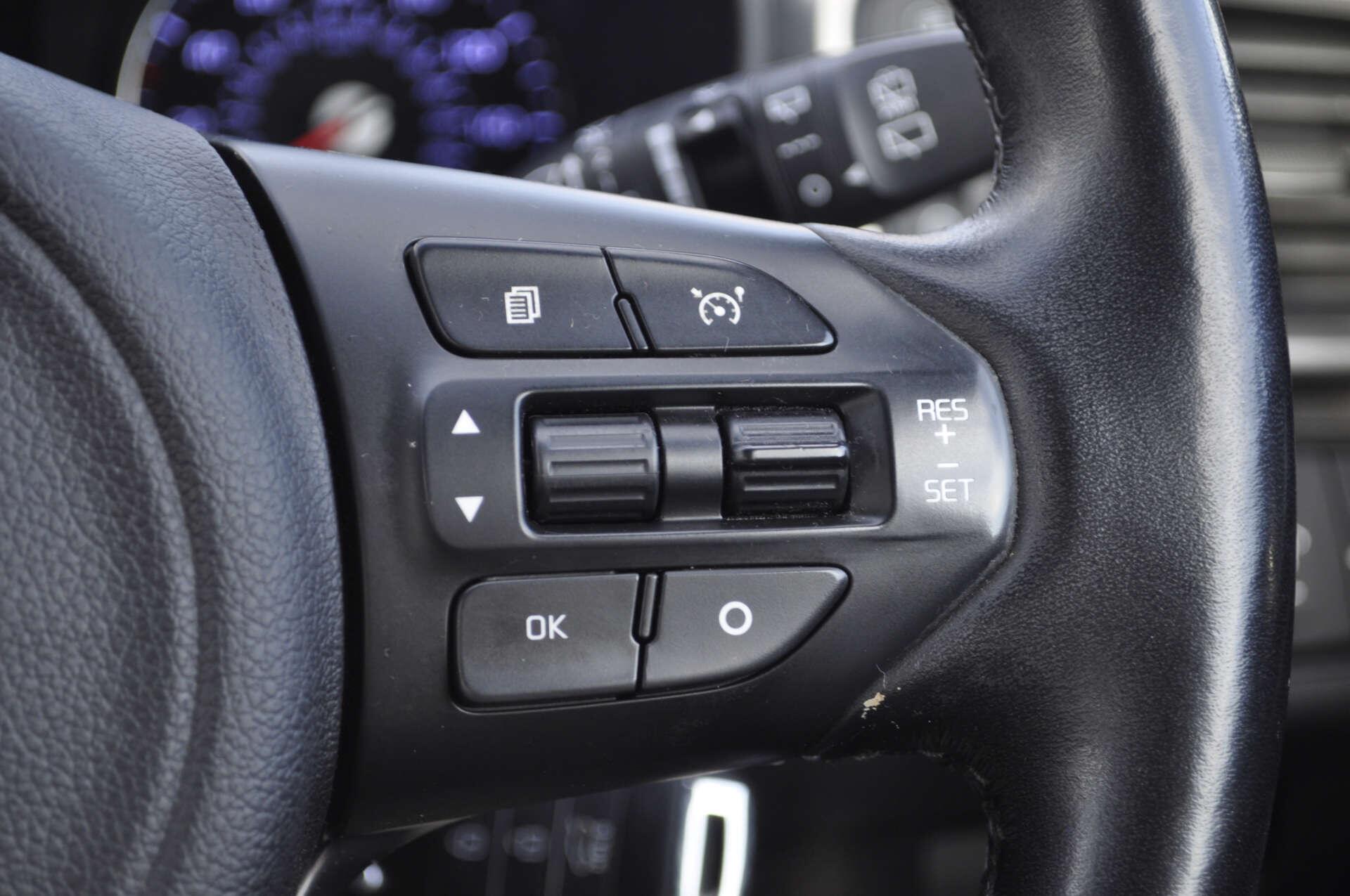 Kia Sorento view 19