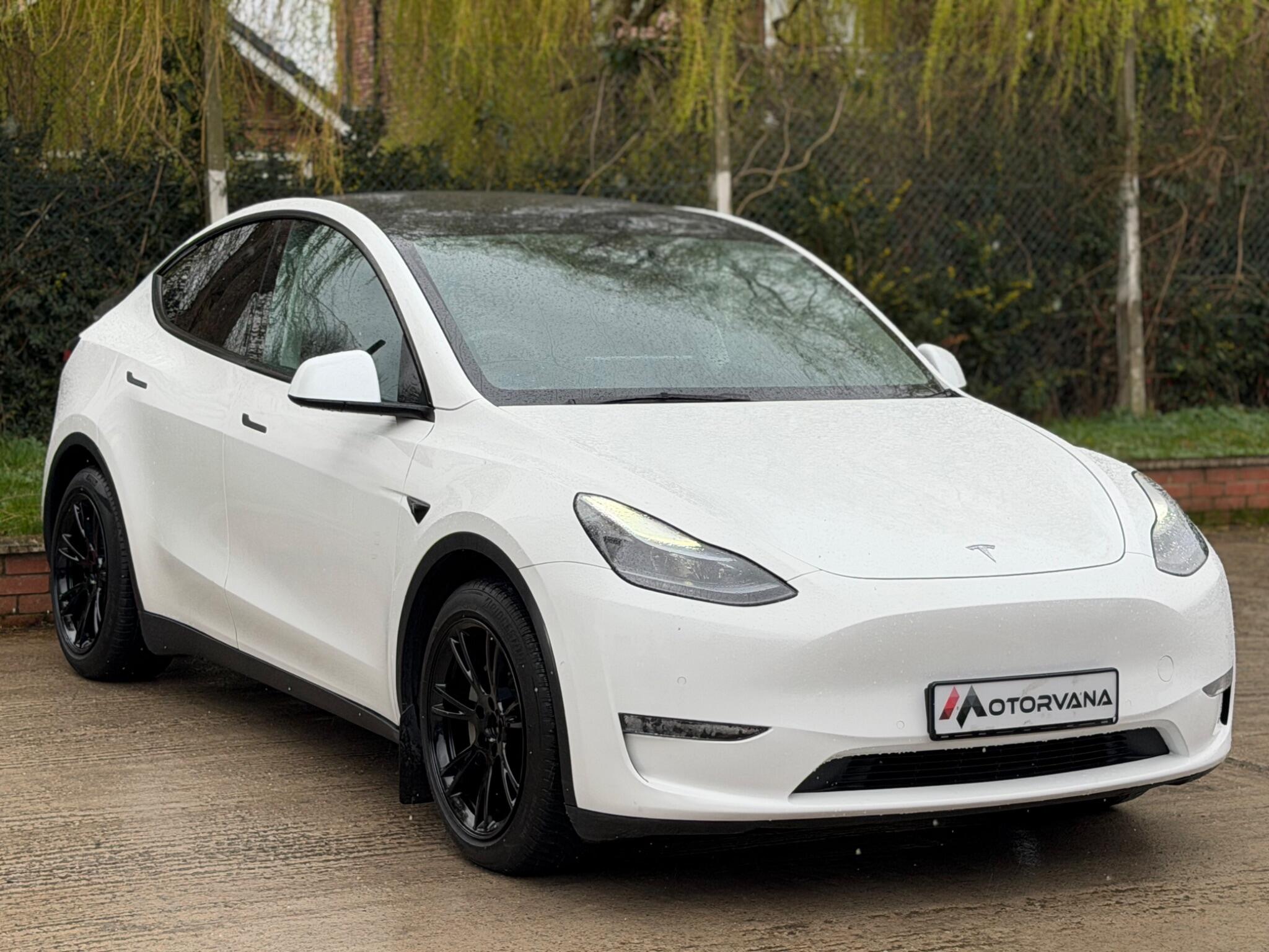 Tesla Model Y view 6