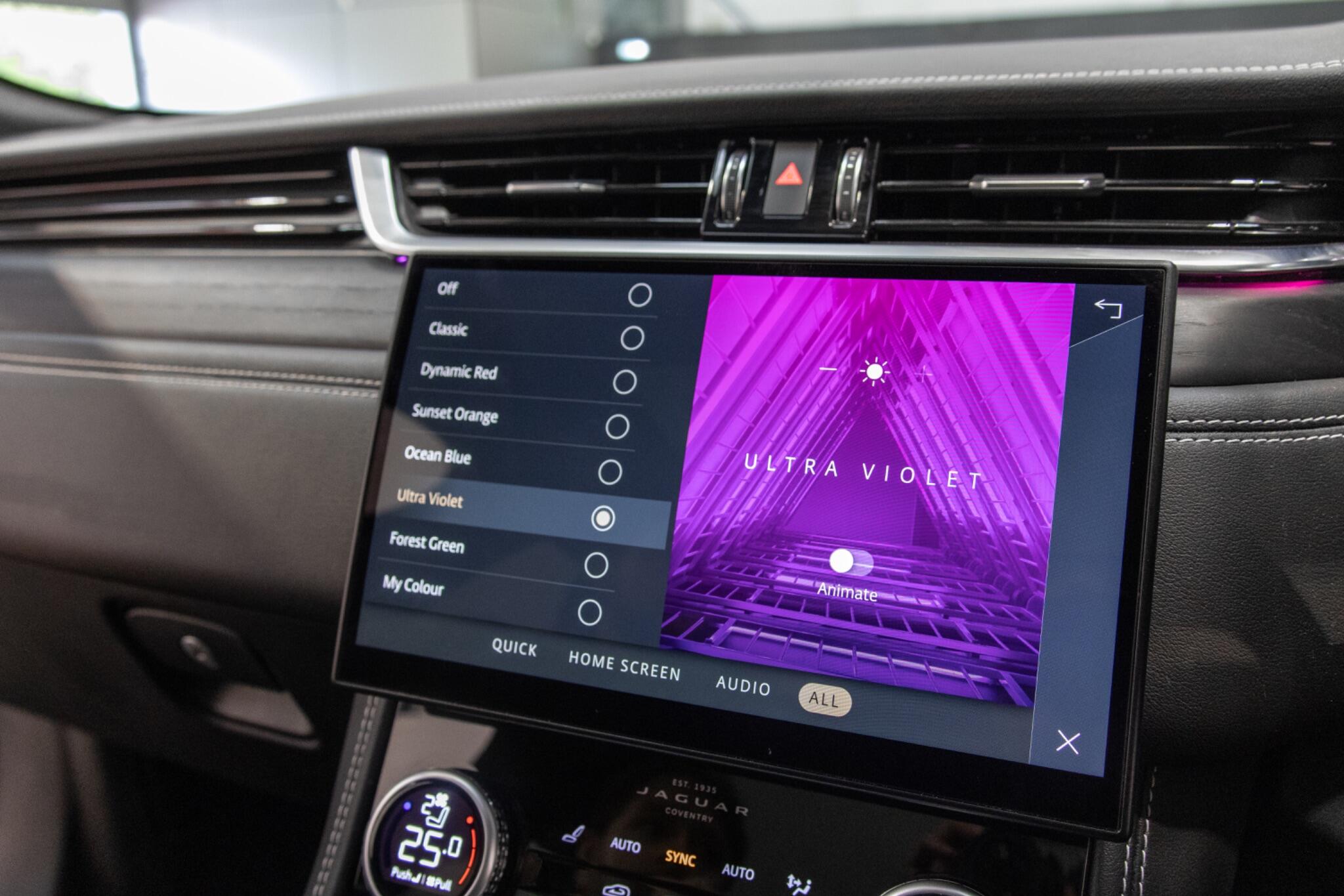 Jaguar F-Pace view 25