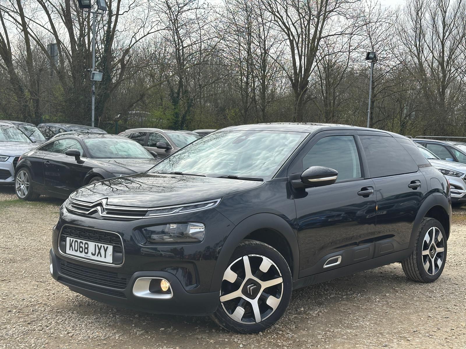 Citroen C4 Cactus view 2