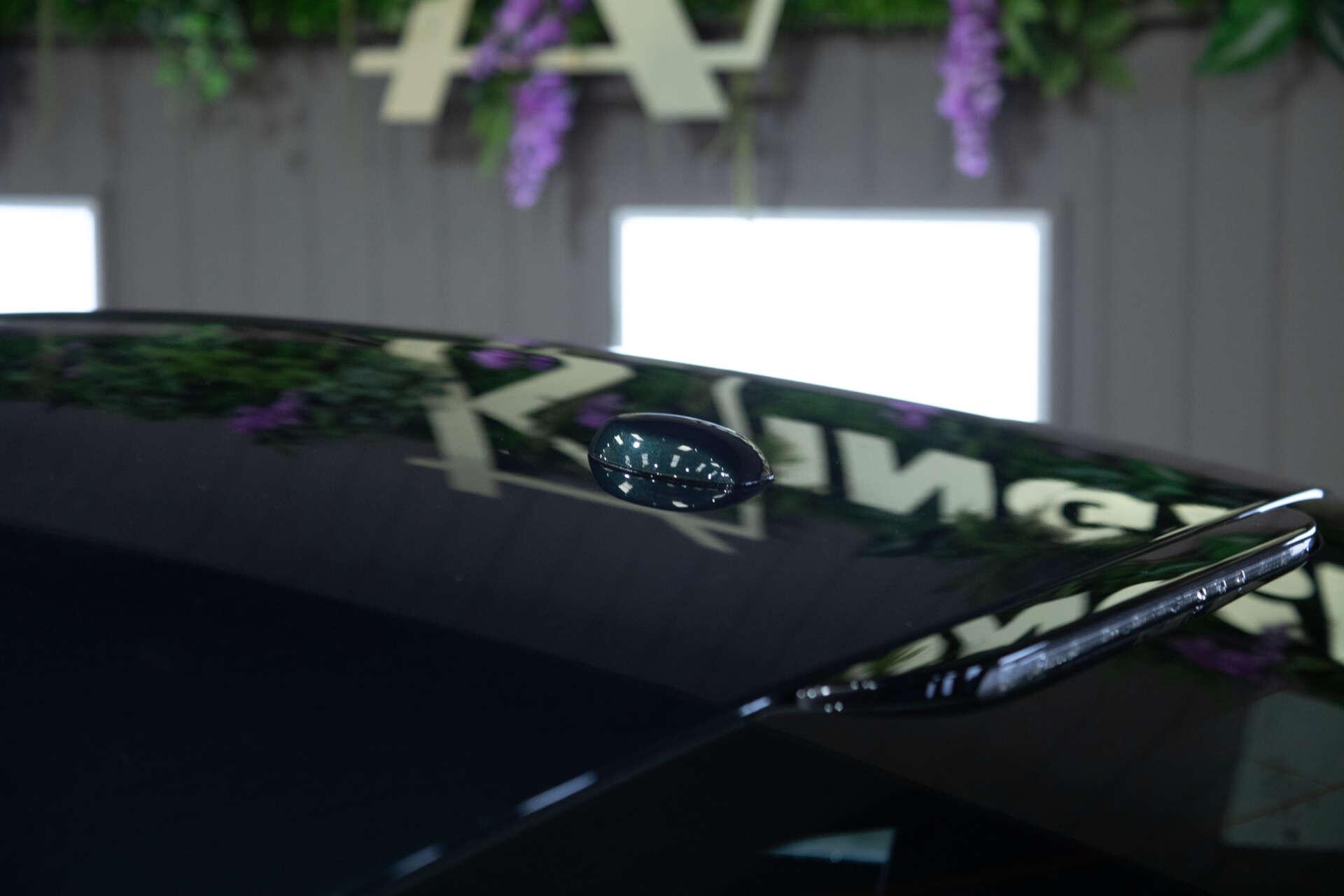 Ford Mustang view 21